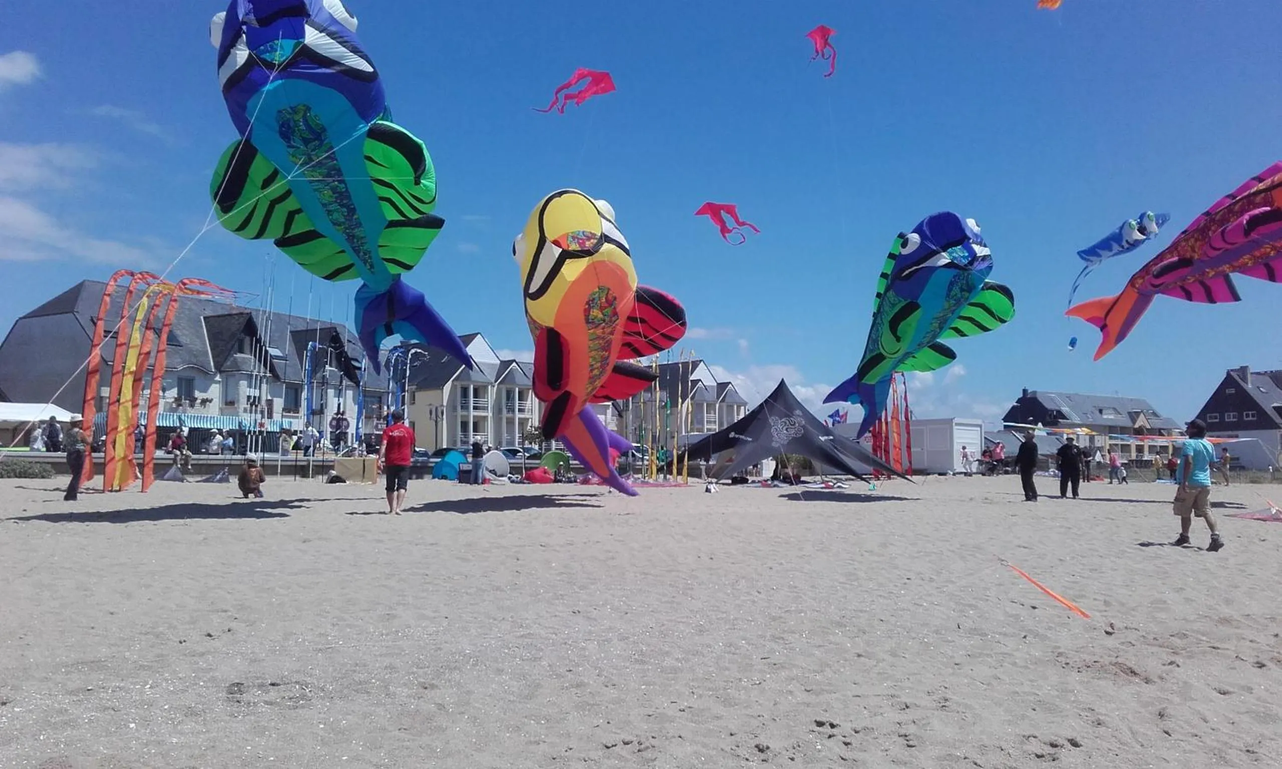 Beach in Les Chants d'Ailes - Hôtel Face Mer