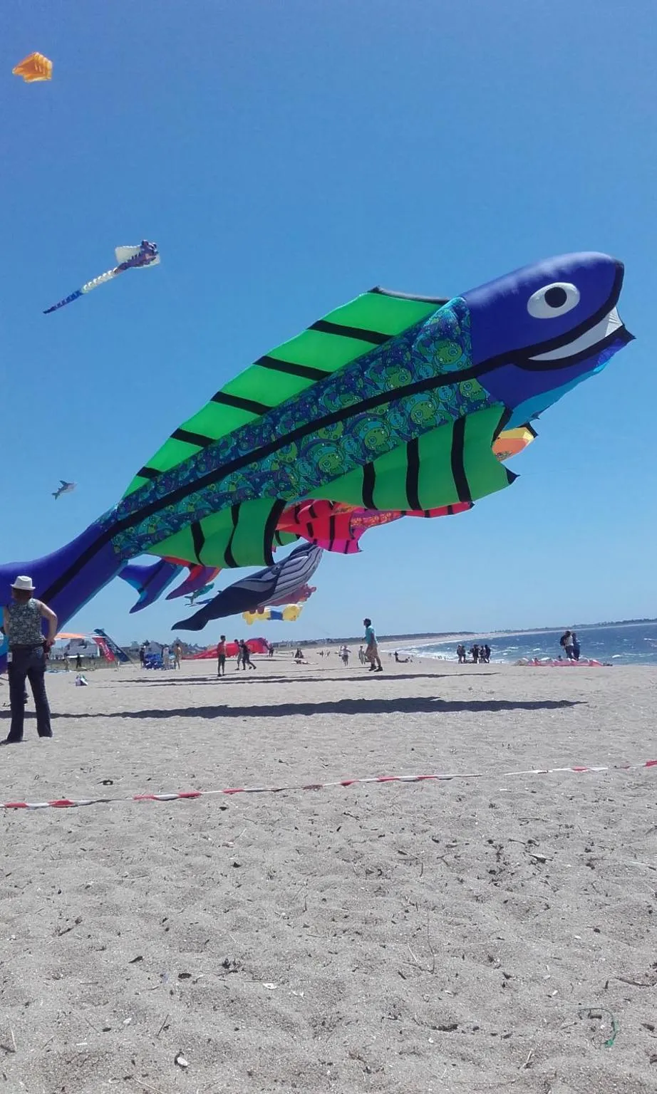 Beach in Les Chants d'Ailes - Hôtel Face Mer