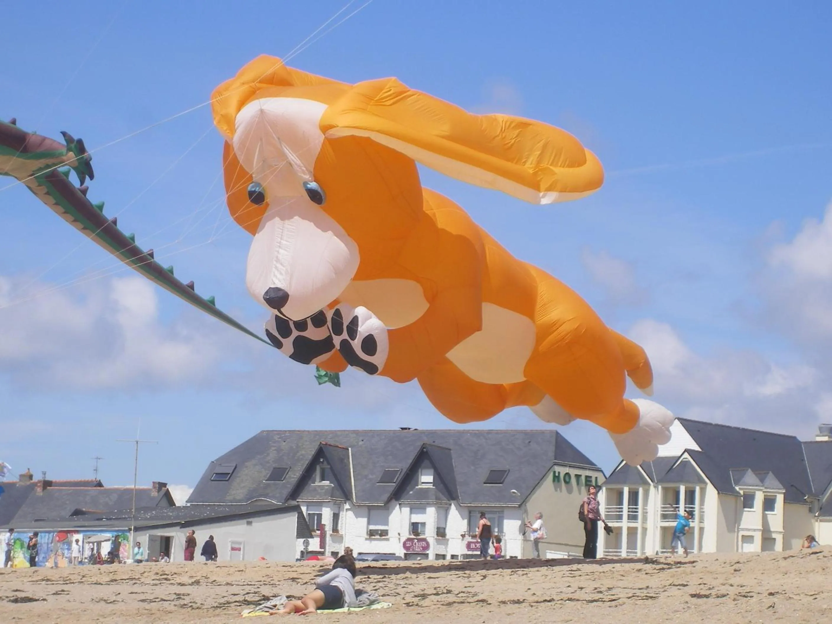 Beach in Les Chants d'Ailes - Hôtel Face Mer
