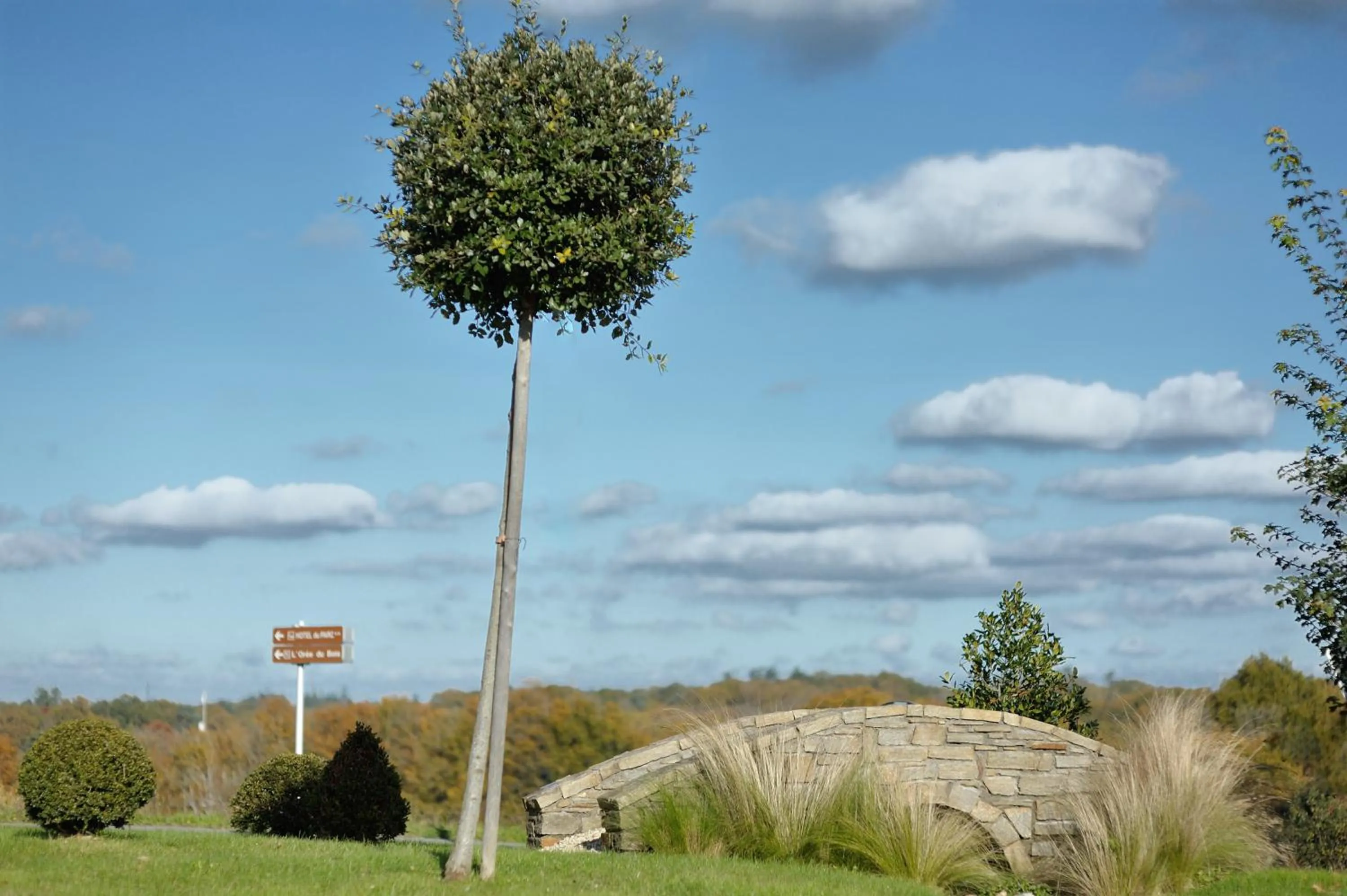 Area and facilities in Hôtel du Parc Nantes Ouest Orvault