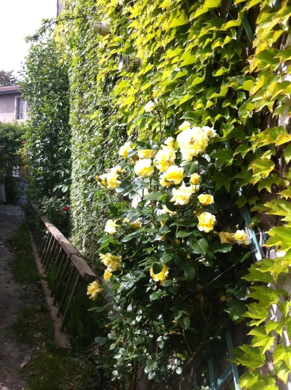 Chambres d'Hôtes A Buglose