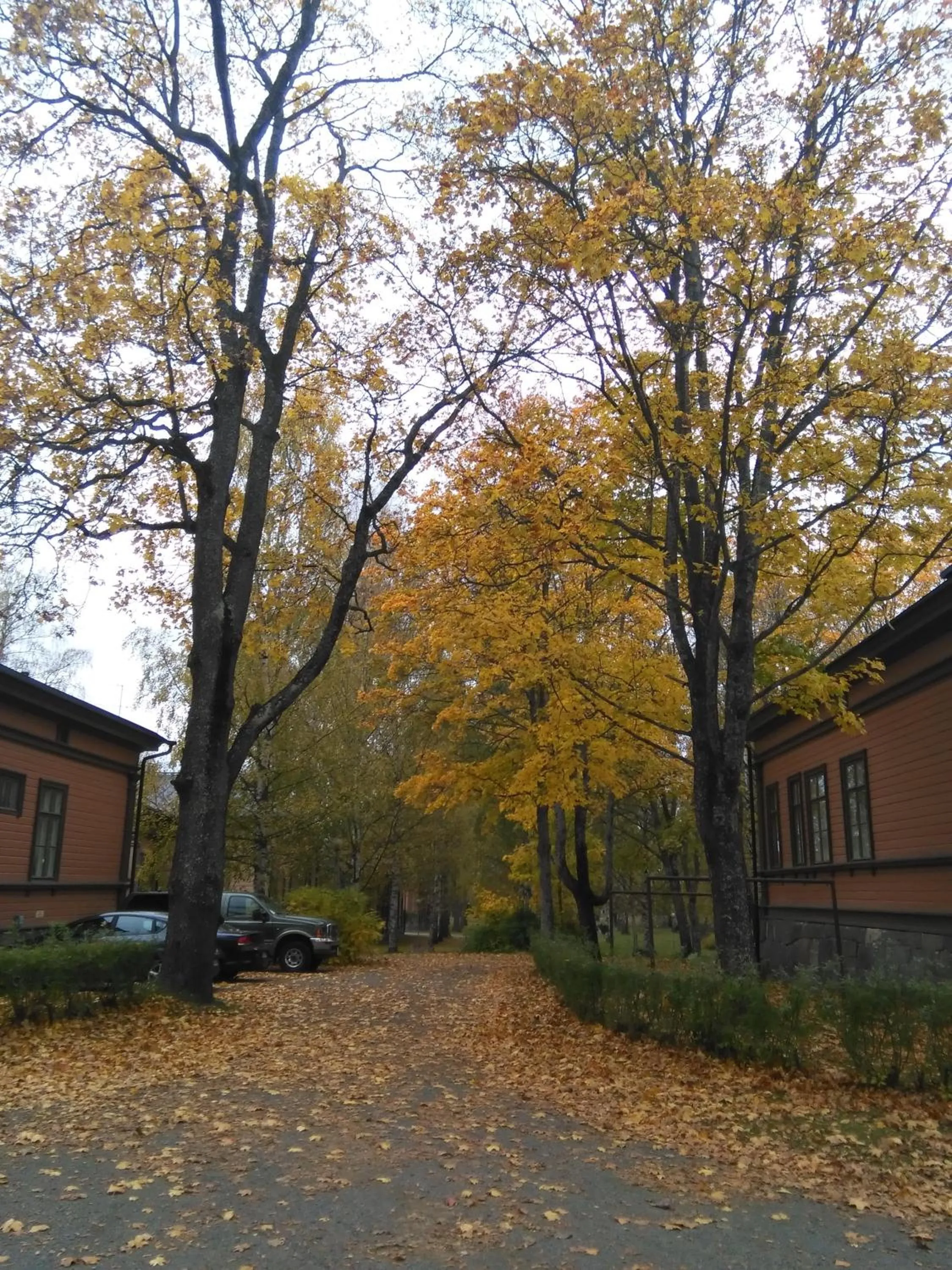 Neighbourhood in Huoneistohotelli Marja