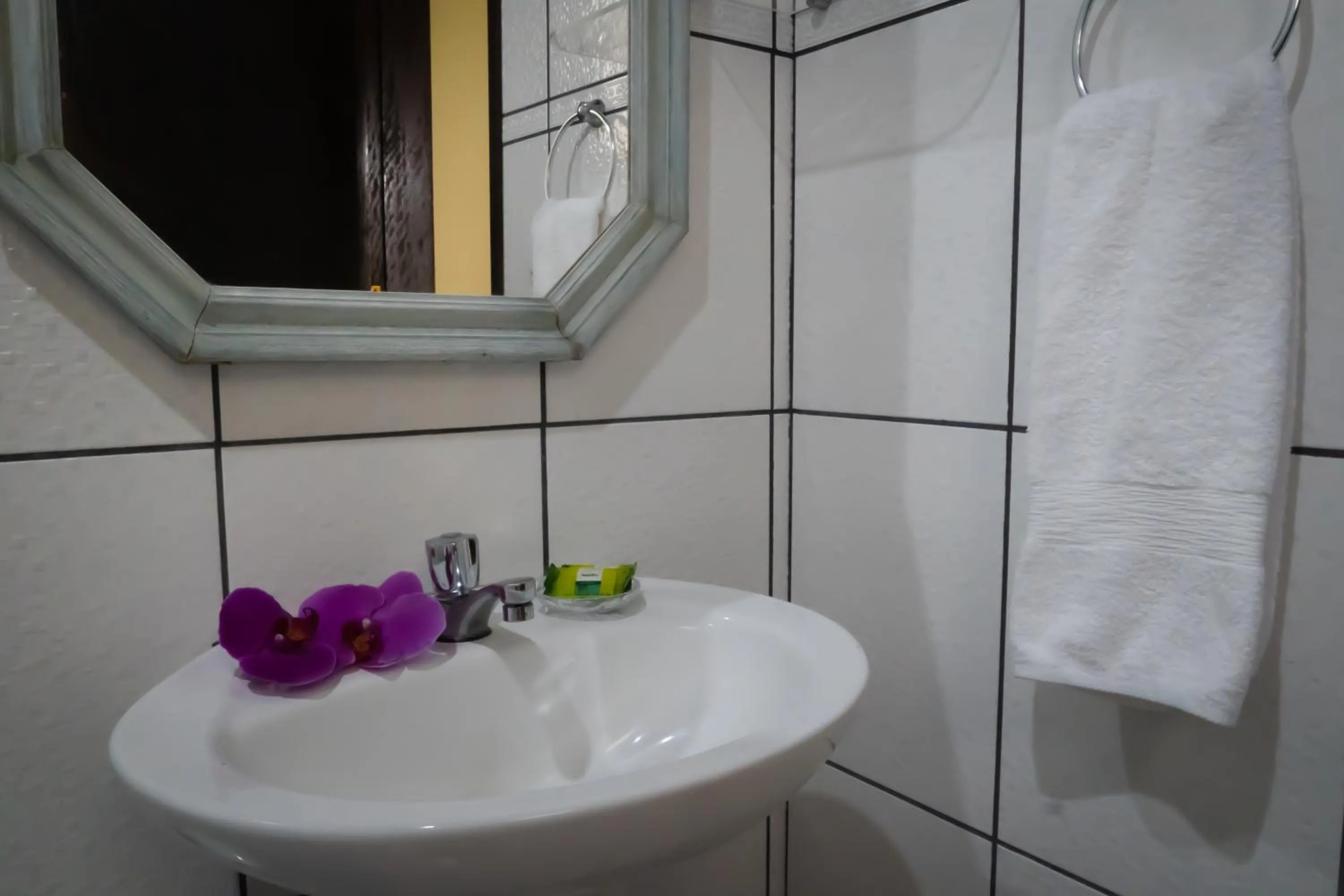 Bathroom in Pousada Gata Russa