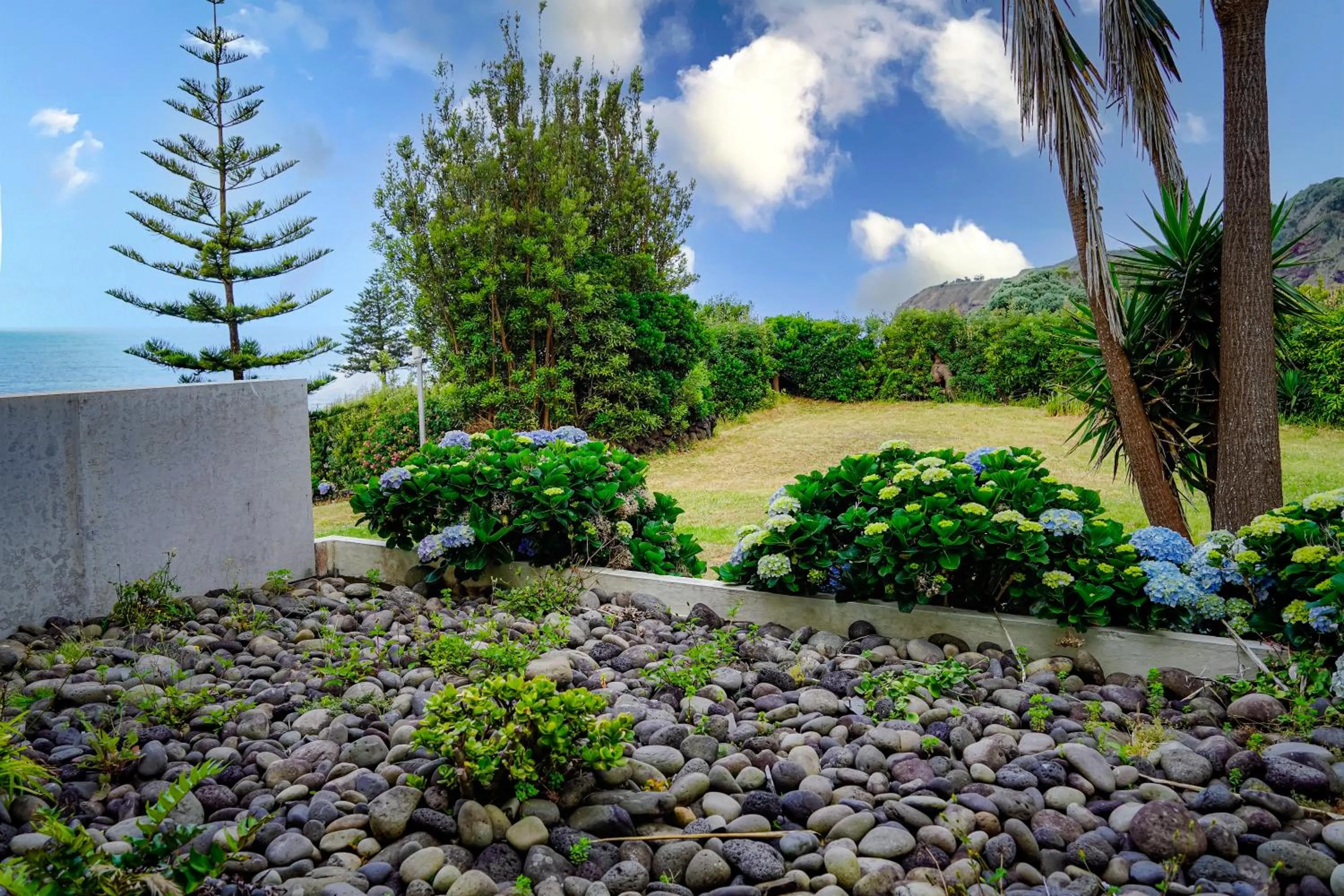 Garden in ANC Resort