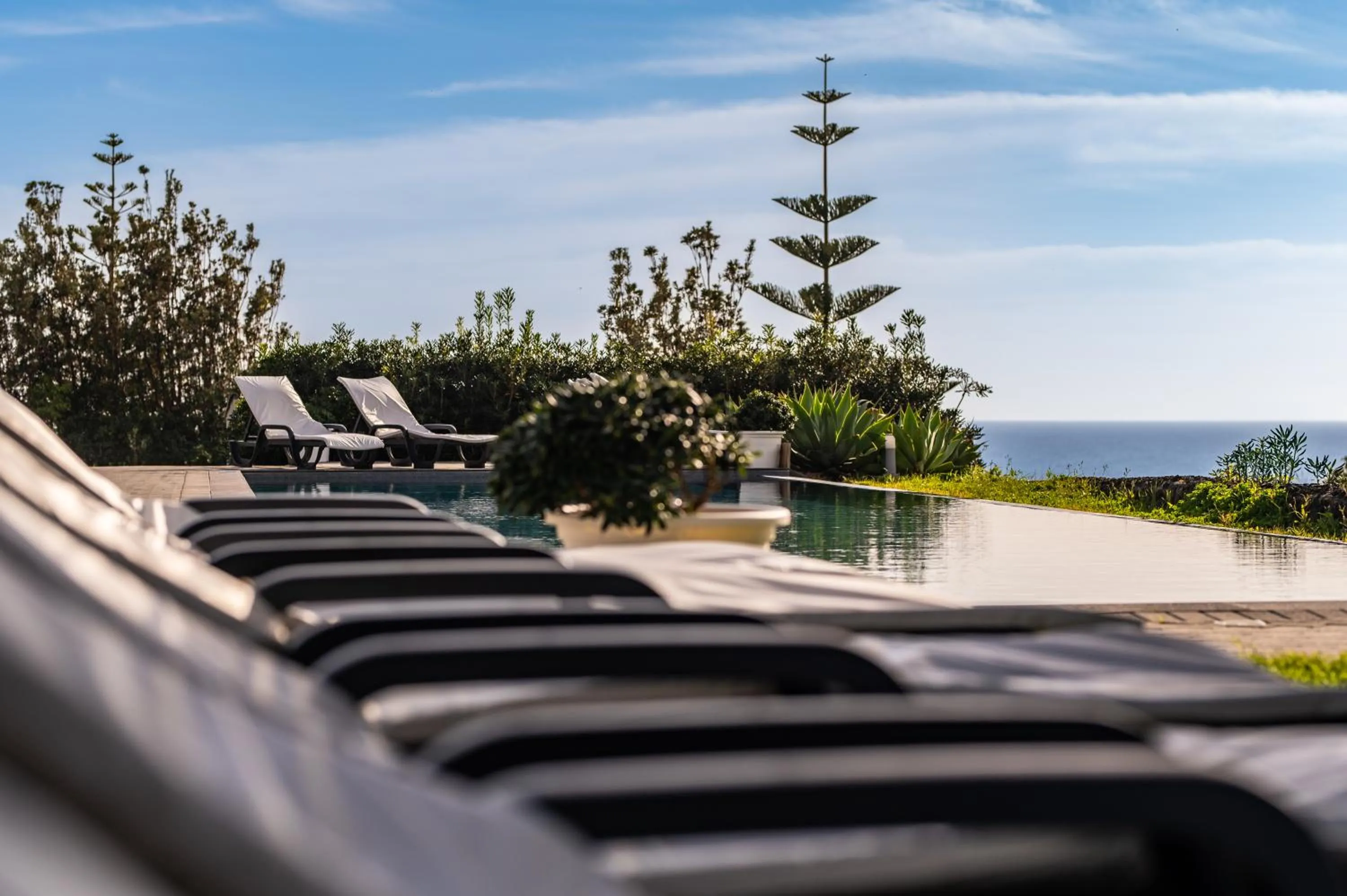 Swimming pool in ANC Resort