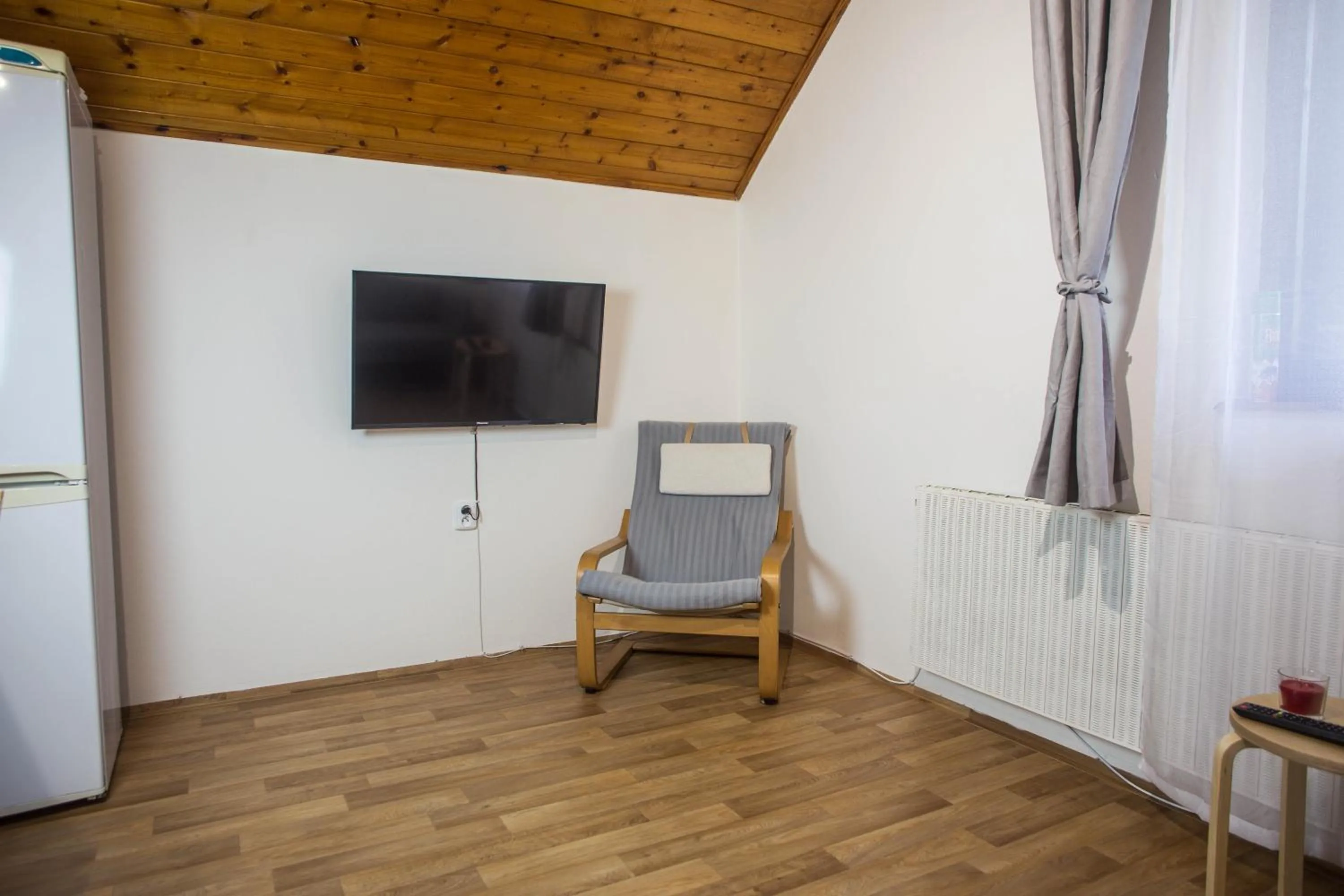 TV and multimedia in Apartmány Ve Mlejně