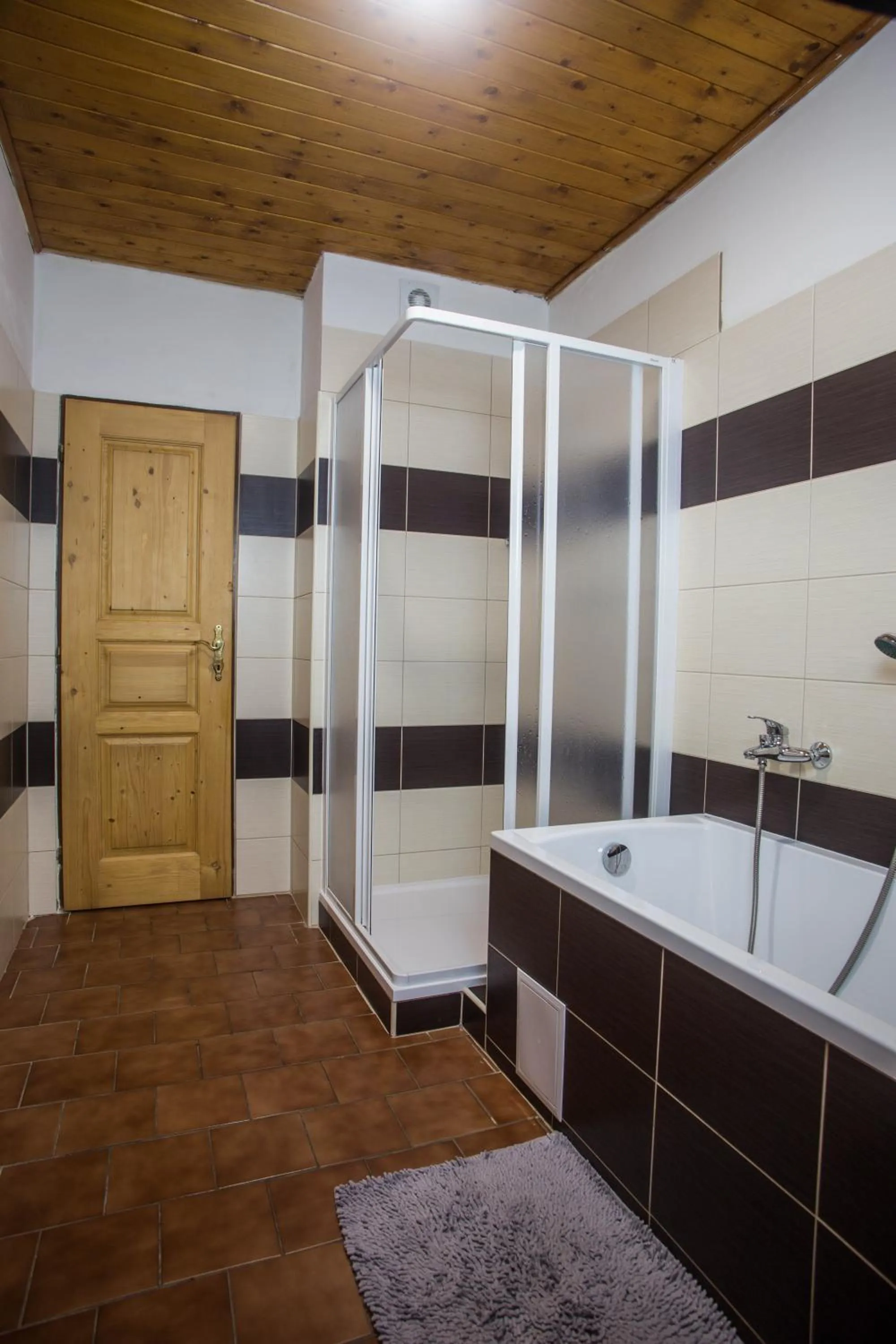 Shower in Apartmány Ve Mlejně