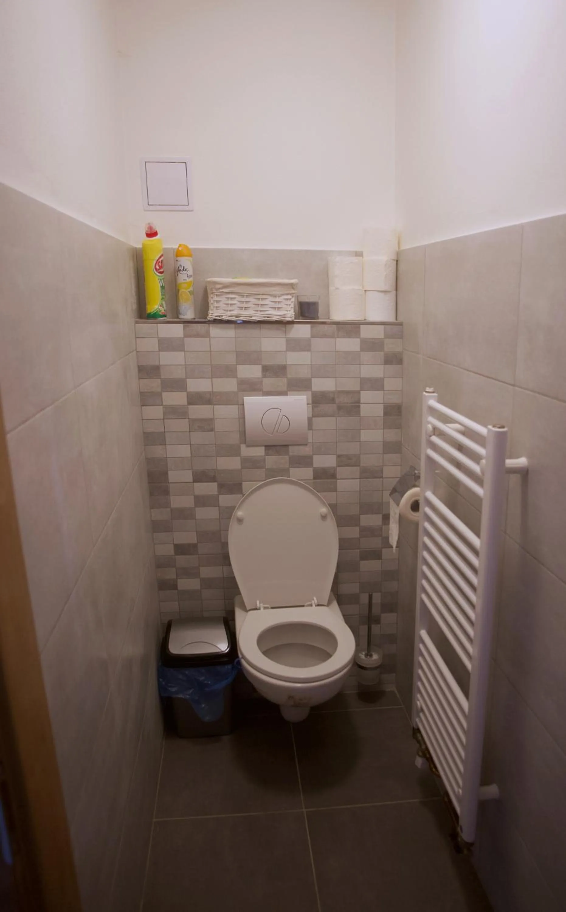 Toilet in Apartmány Ve Mlejně