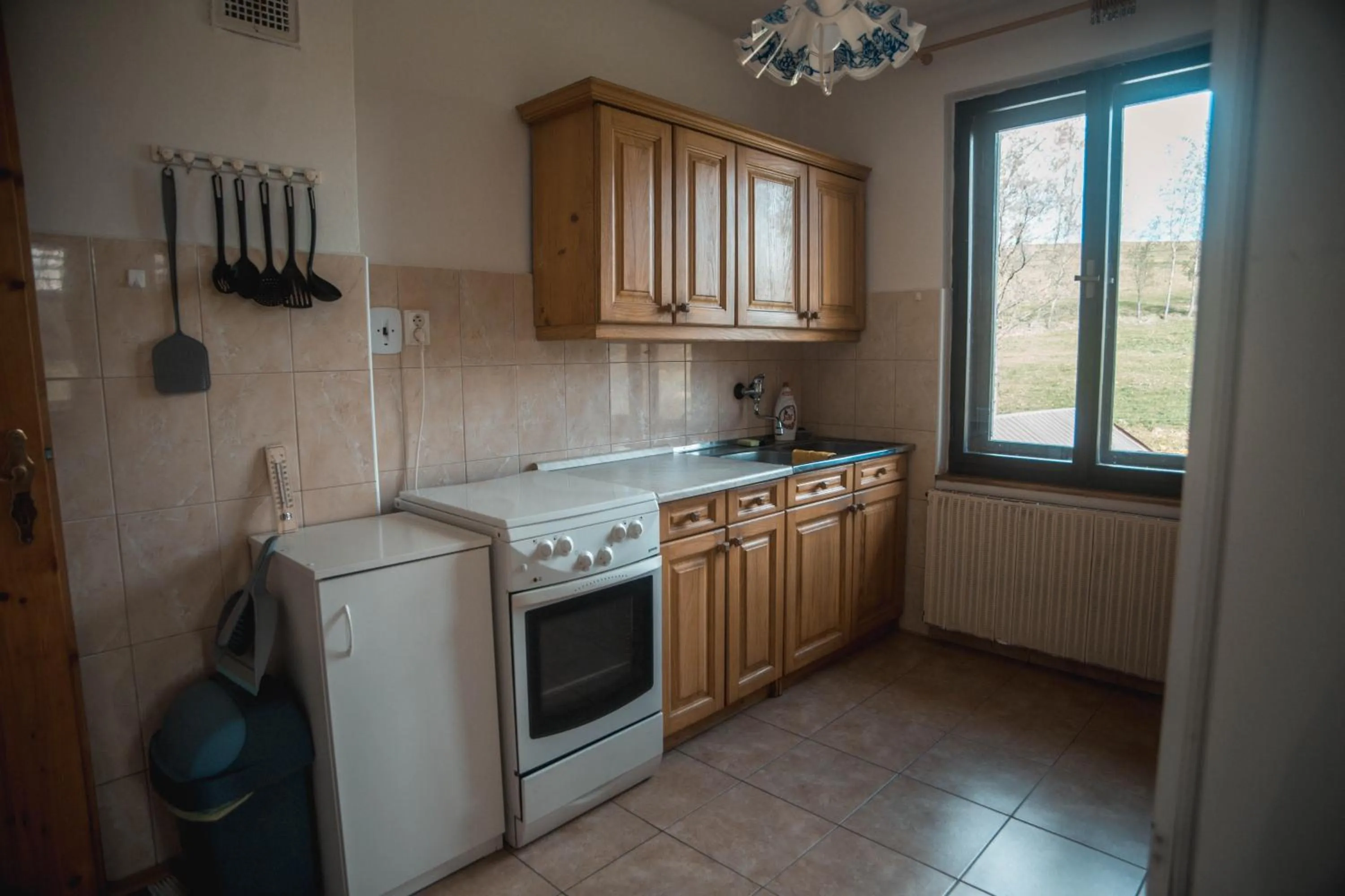 Kitchen or kitchenette in Apartmány Ve Mlejně