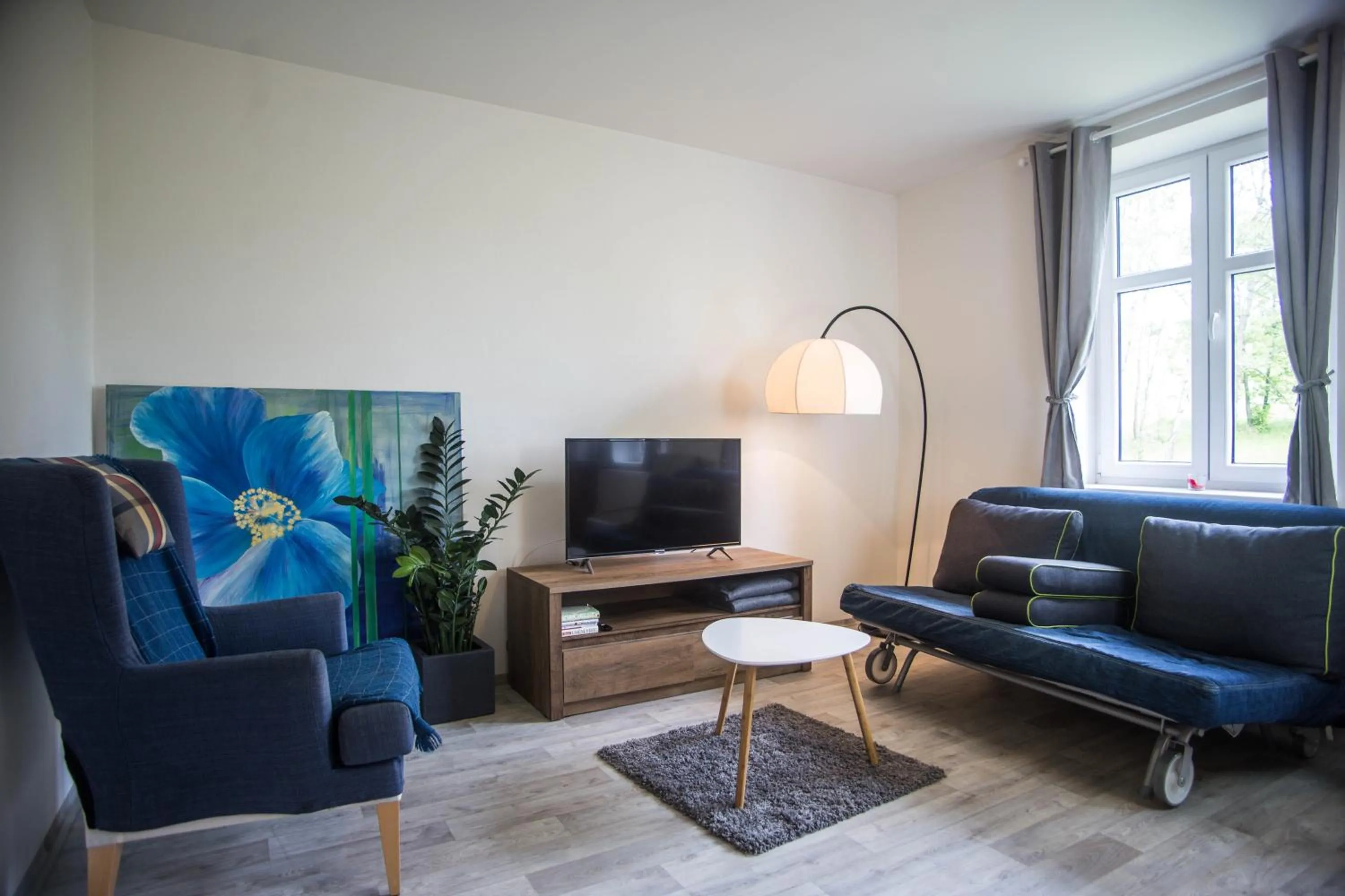 TV and multimedia in Apartmány Ve Mlejně