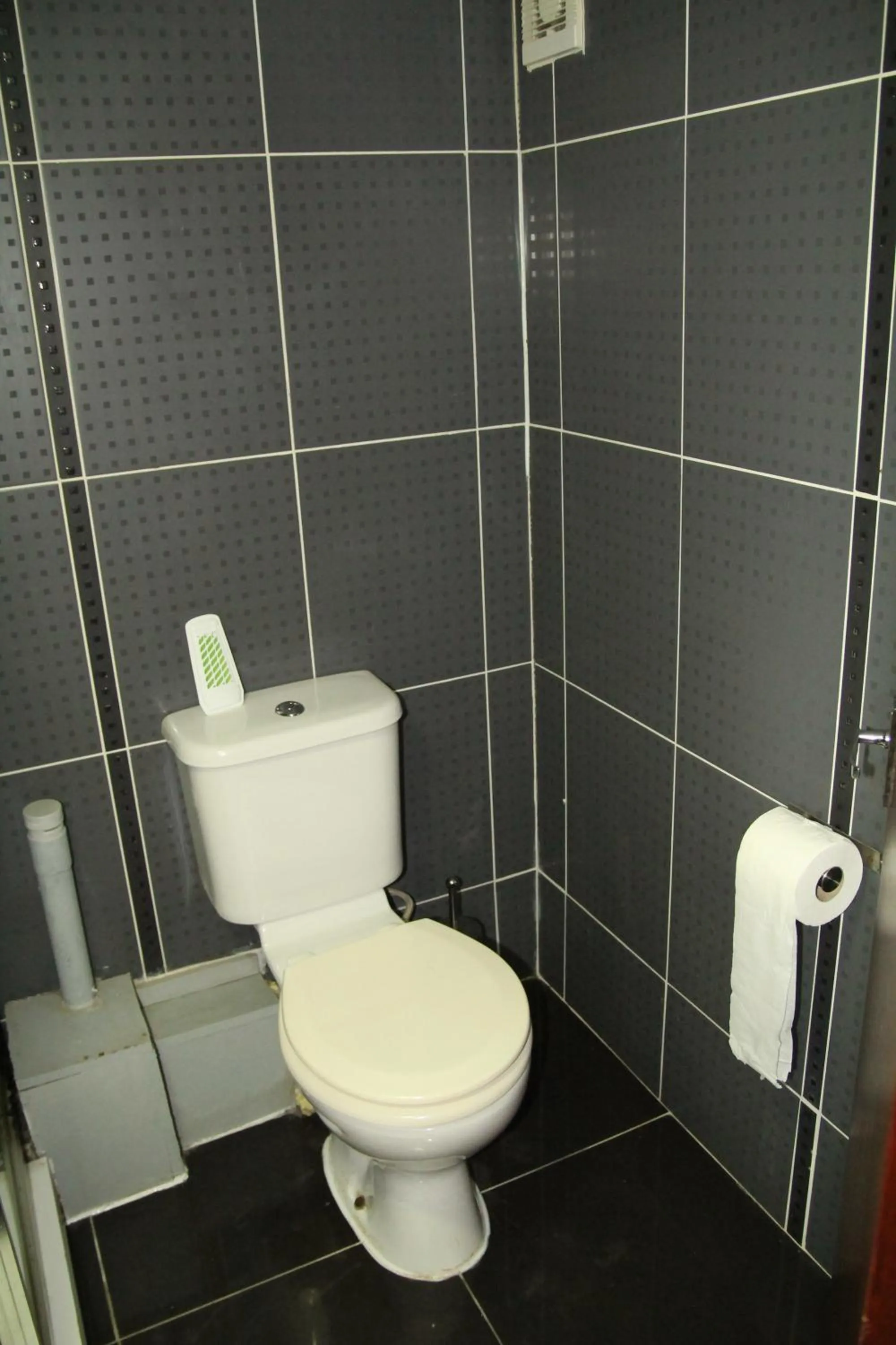 Toilet in London Olympus Hotel Nirvana