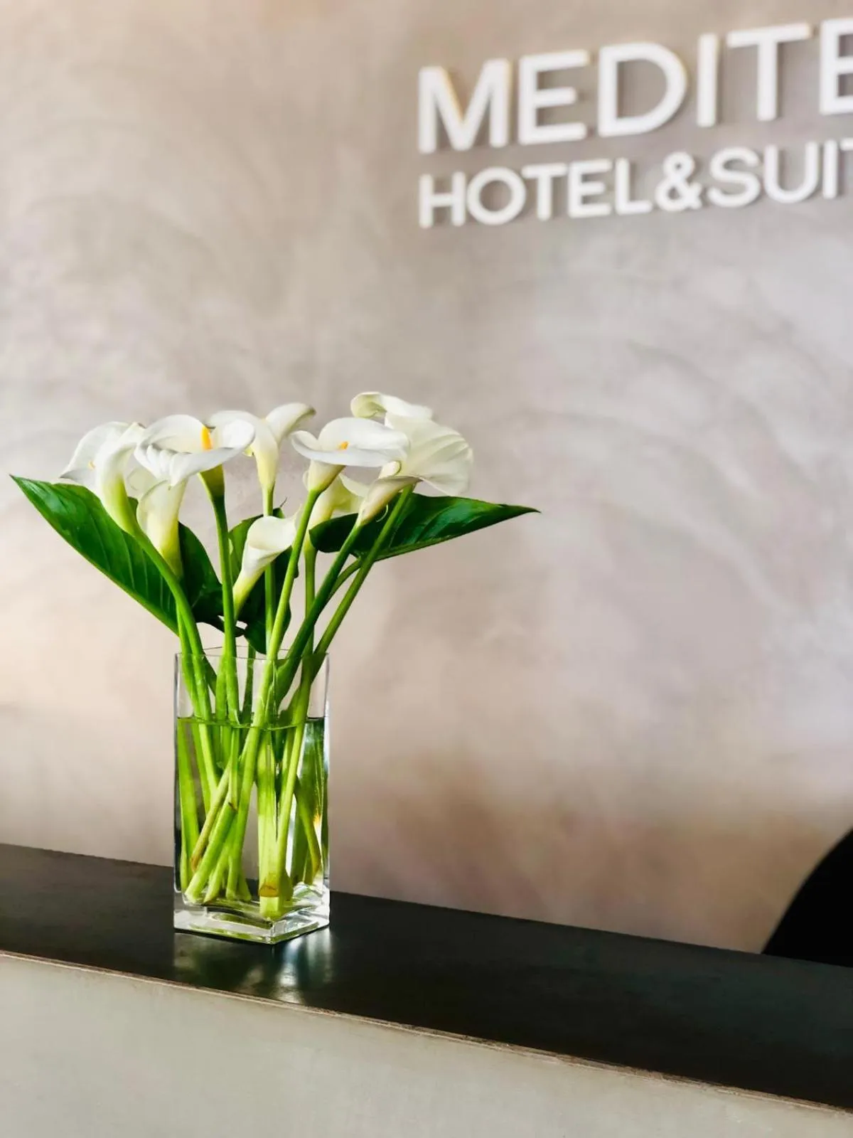 Logo/Certificate/Sign in Mediterraneo Hotel & Suites