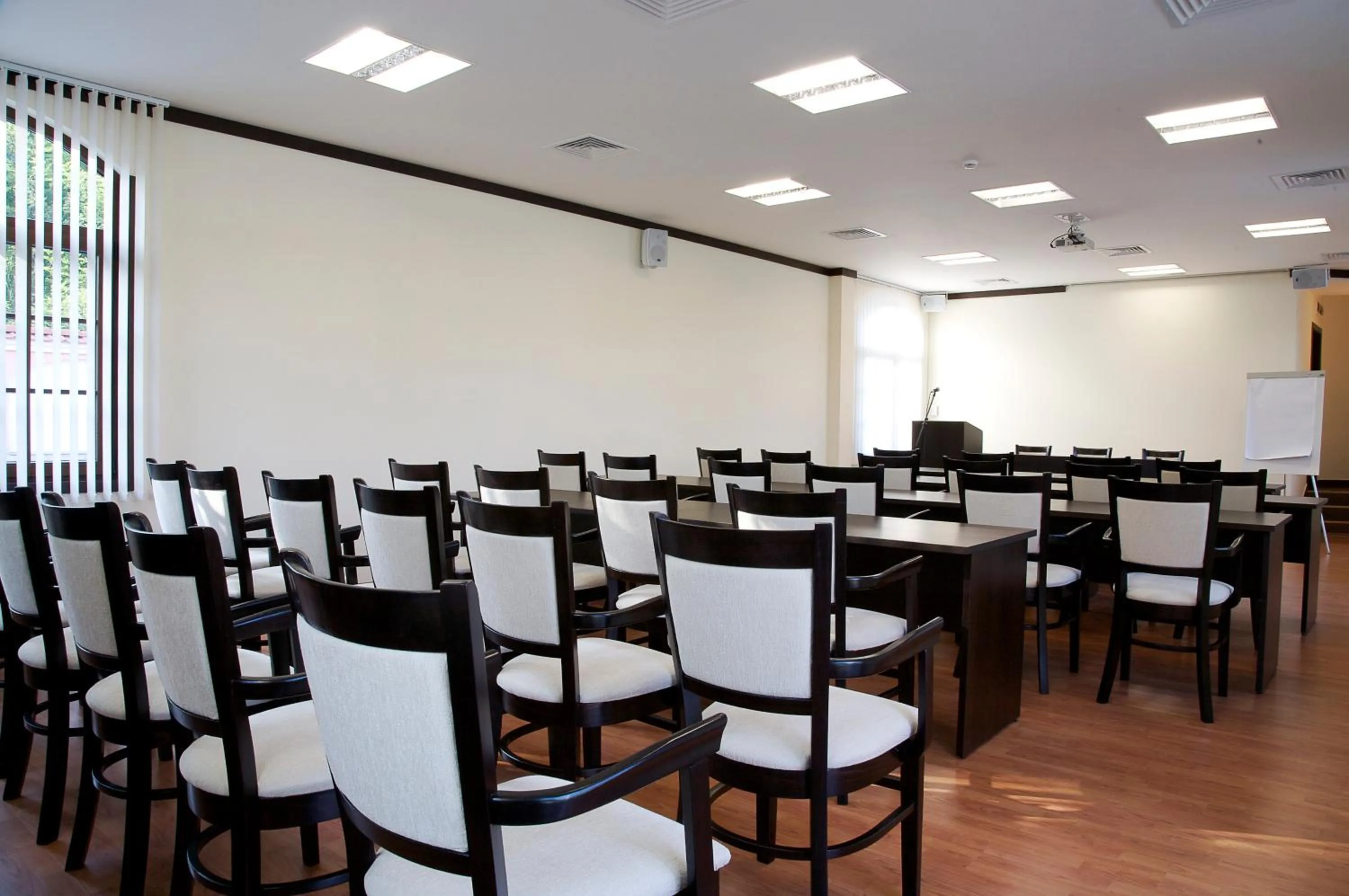Business facilities in Hotel Domaine Peshtera