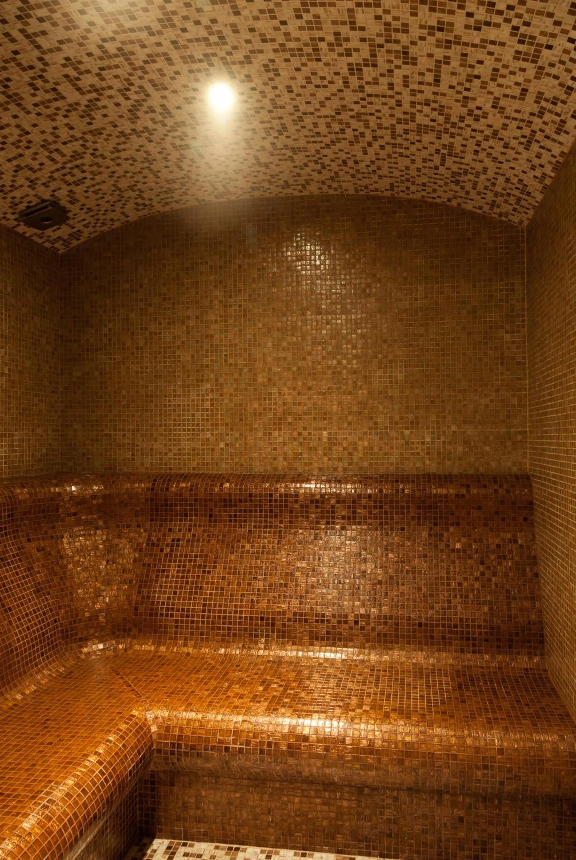 Steam room in Hotel Domaine Peshtera