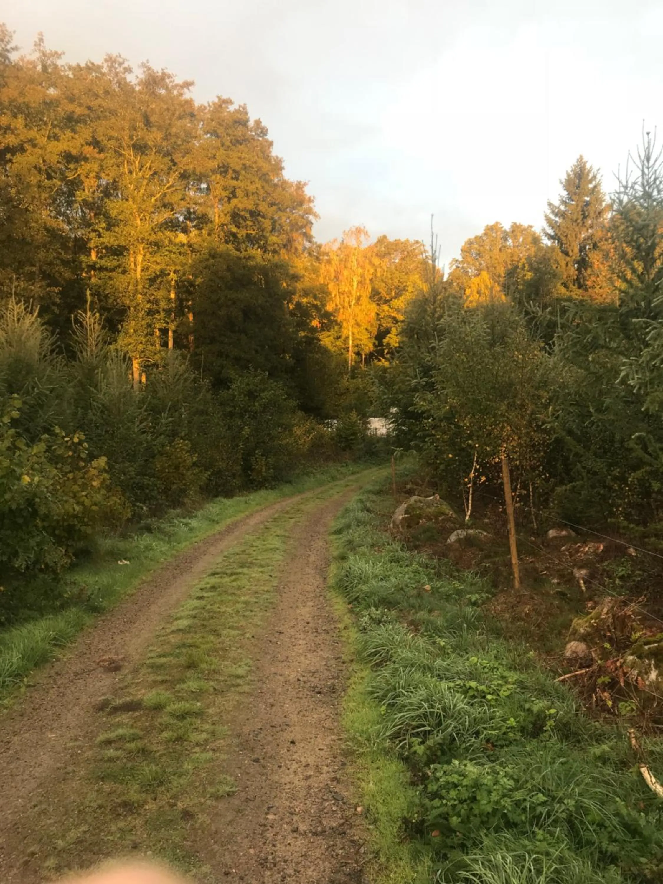 Neighbourhood in The Old Henhouse