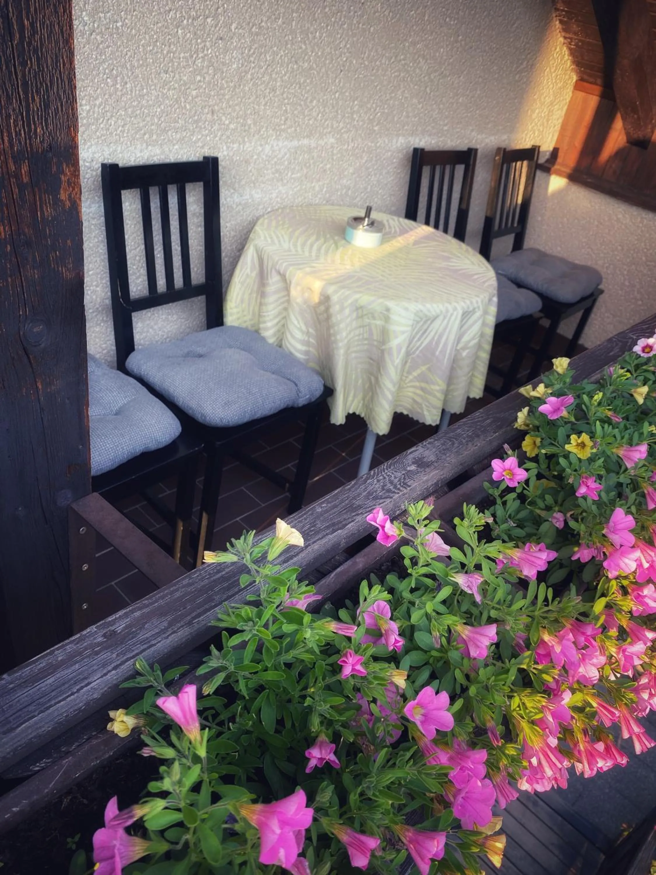 Patio in R-Penzion