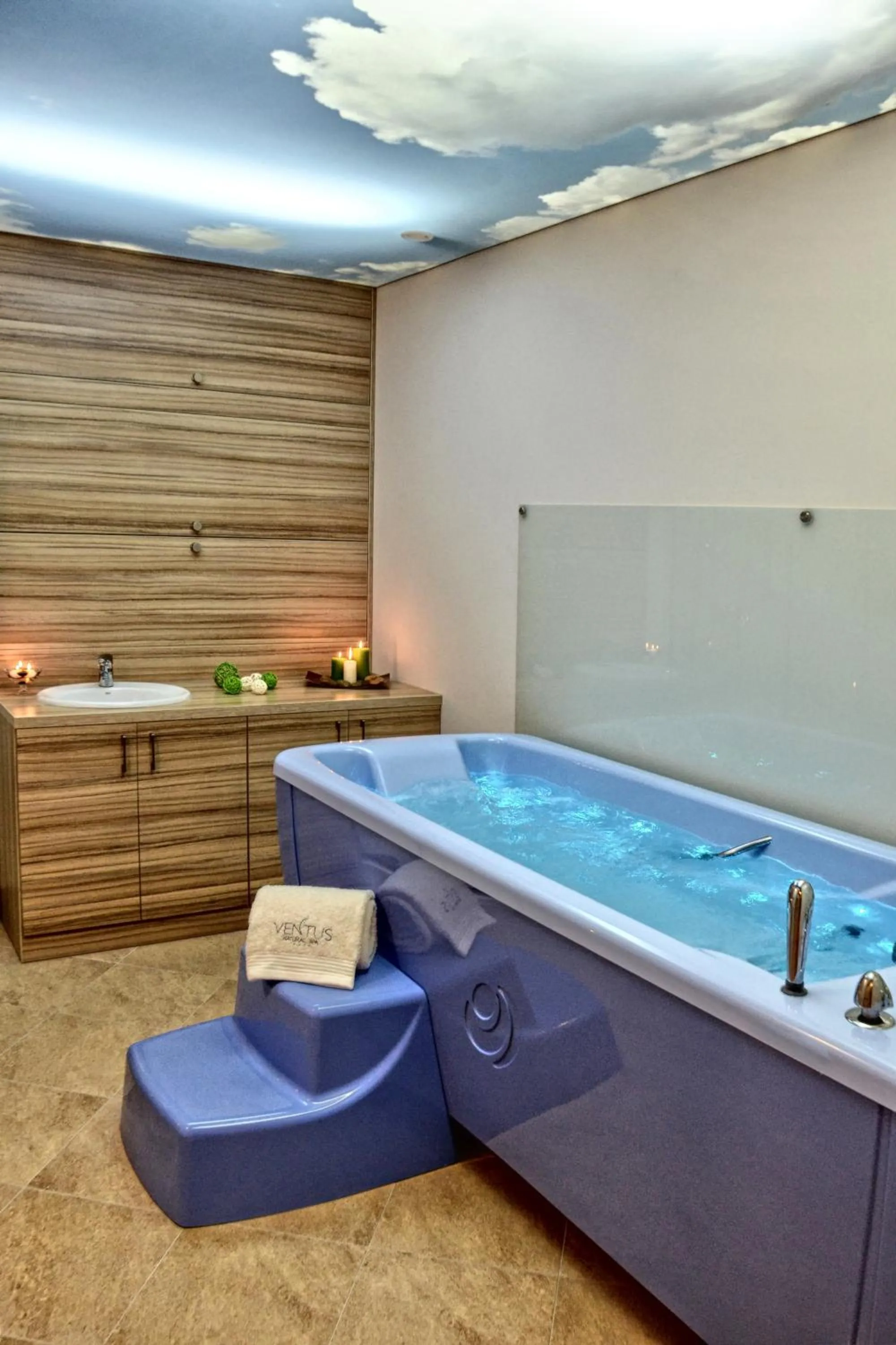 Spa and wellness centre/facilities in Hotel Ventus Natural & Medical Spa