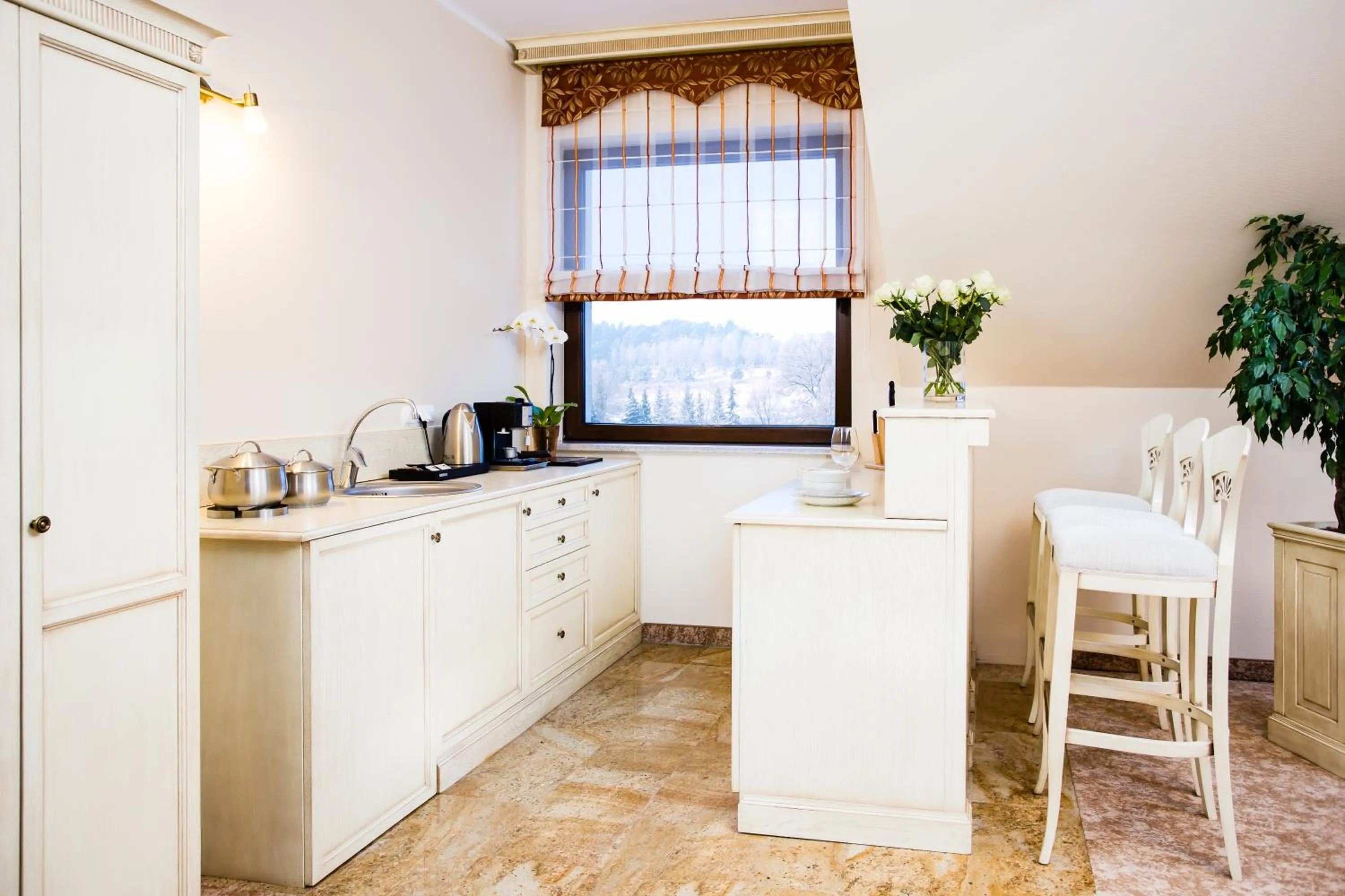 Kitchen or kitchenette in Hotel Ventus Natural & Medical Spa