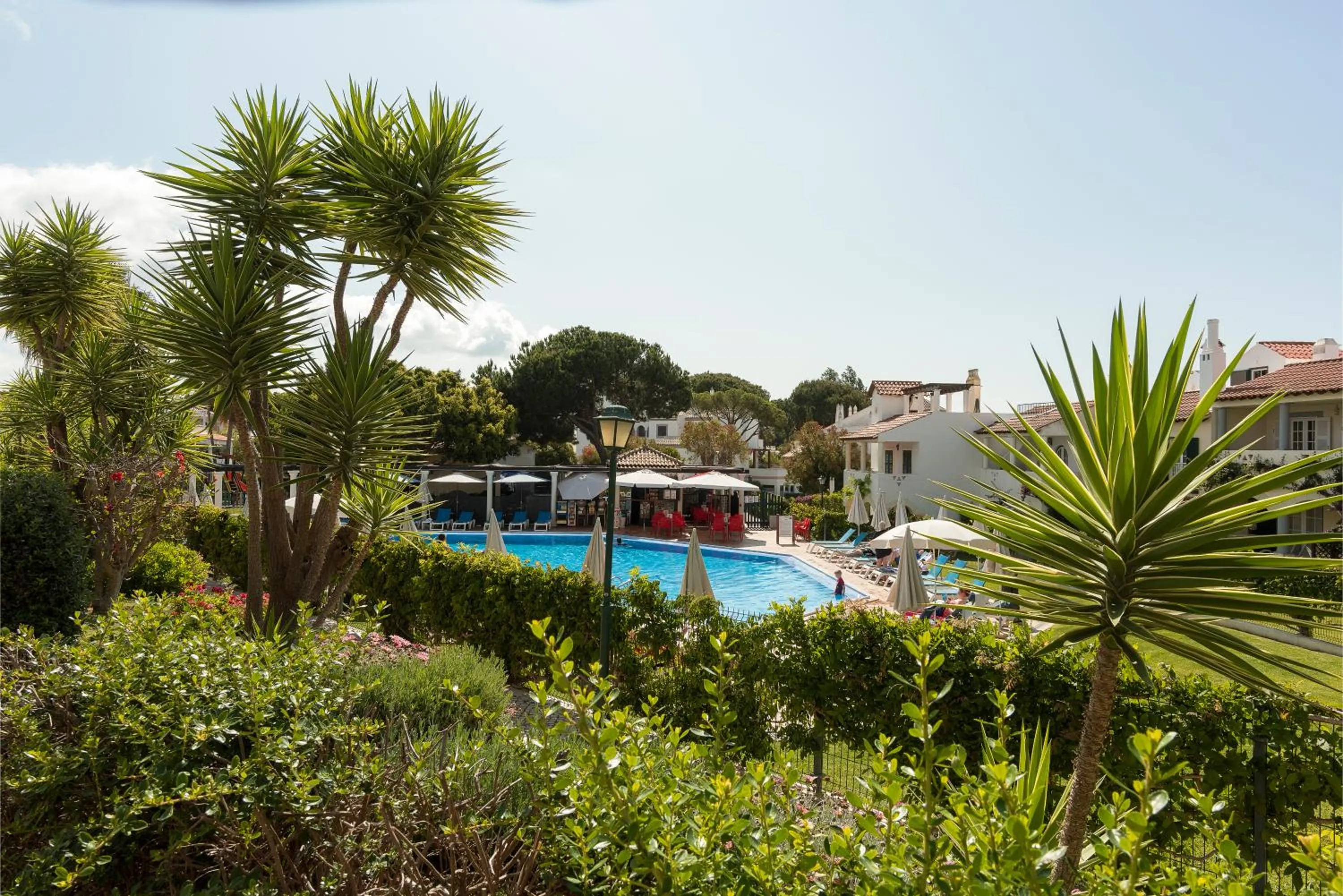 Swimming pool in Old Village & Prestige