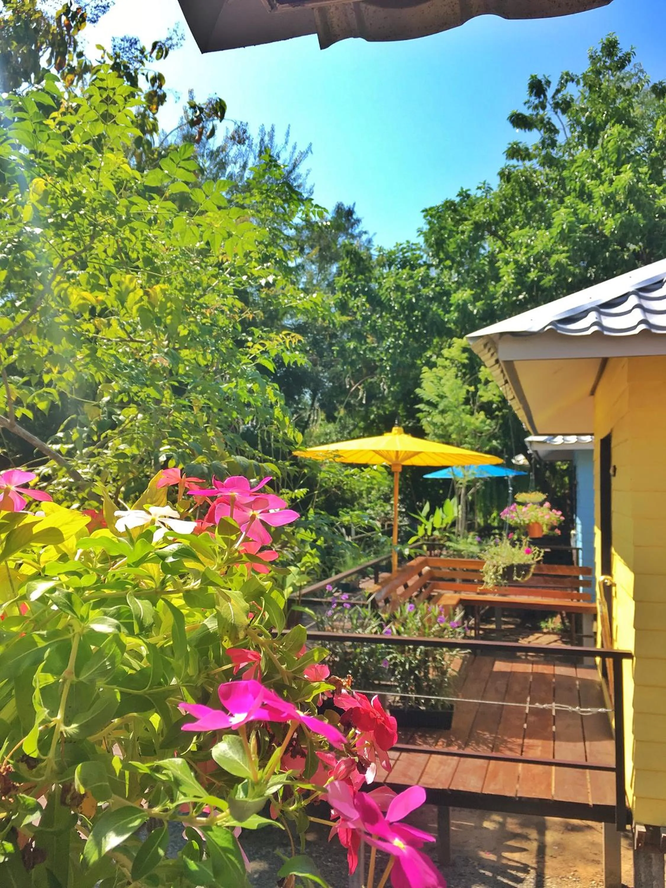 Property building in Mango House Sukhothai