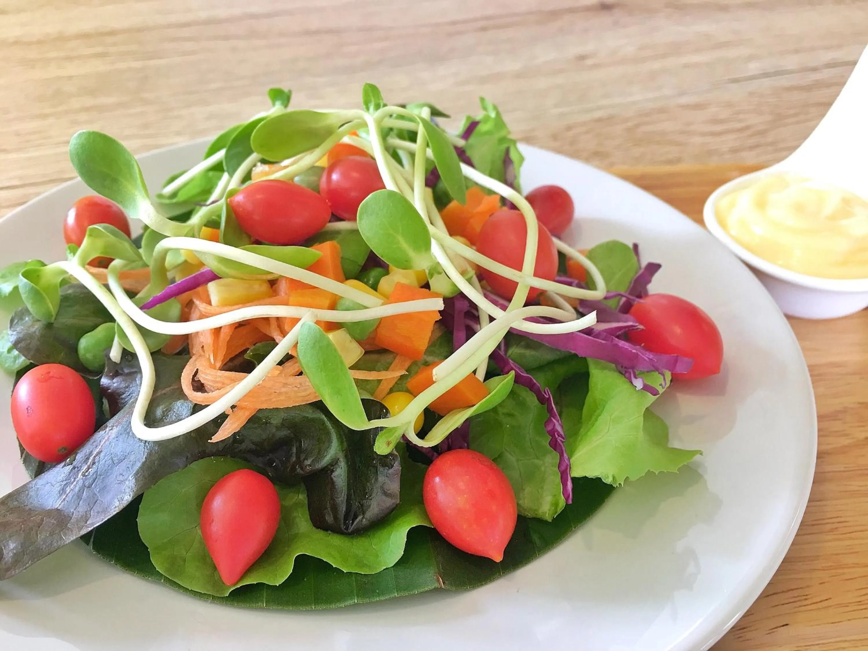 Mango House Sukhothai