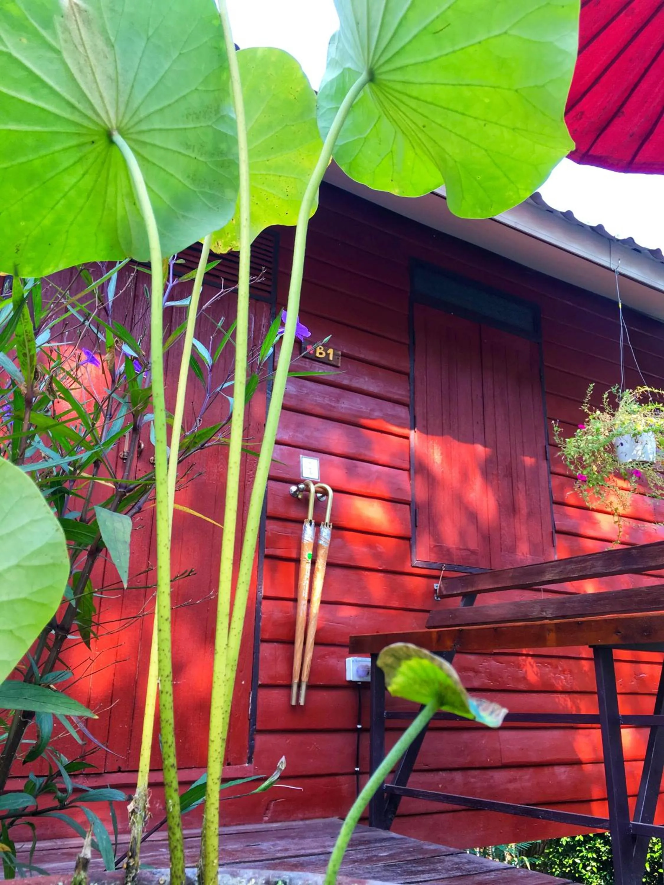 Mango House Sukhothai