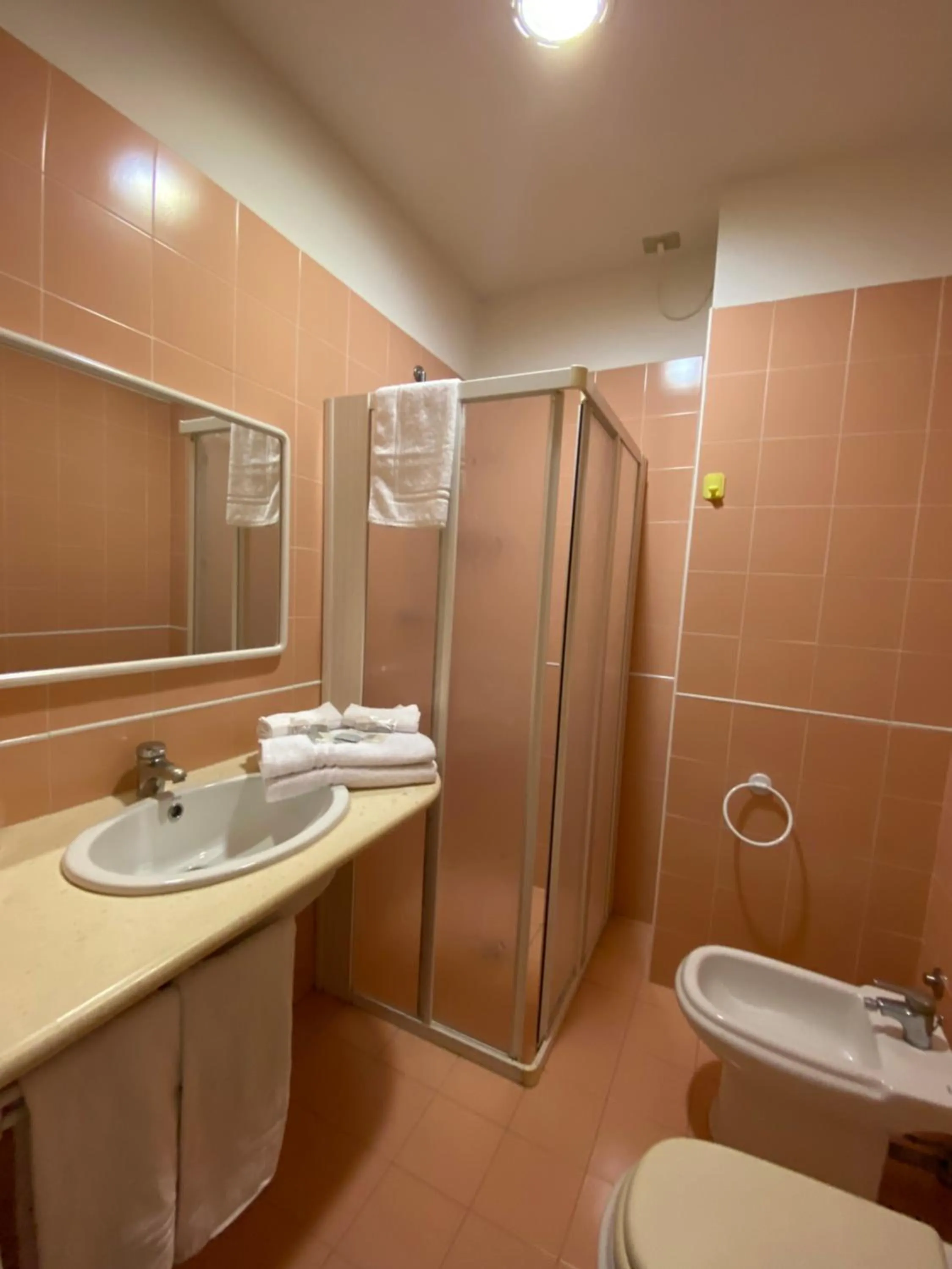 Bathroom in Hotel Plaza con piscina