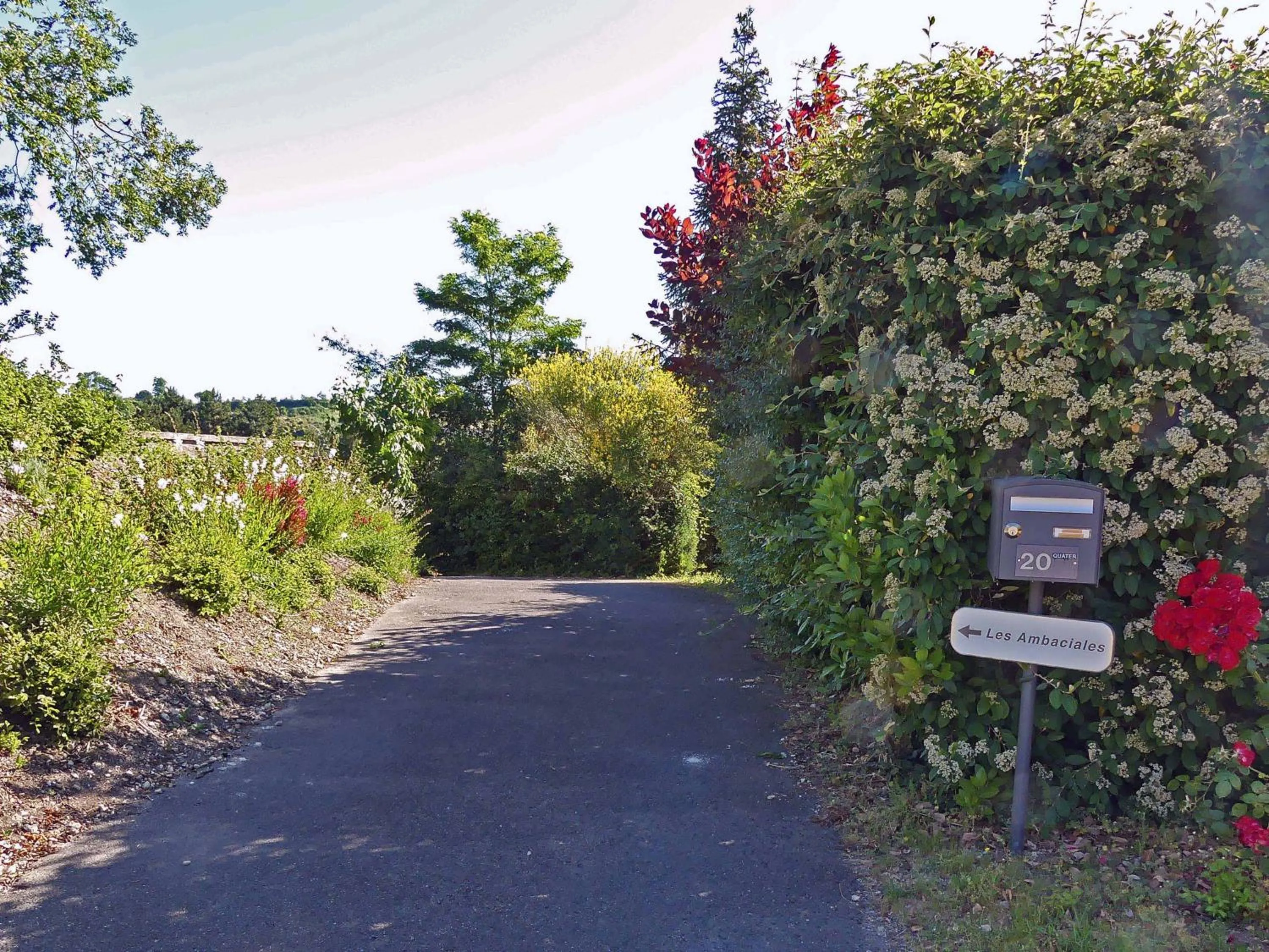 Other in Les Ambaciales