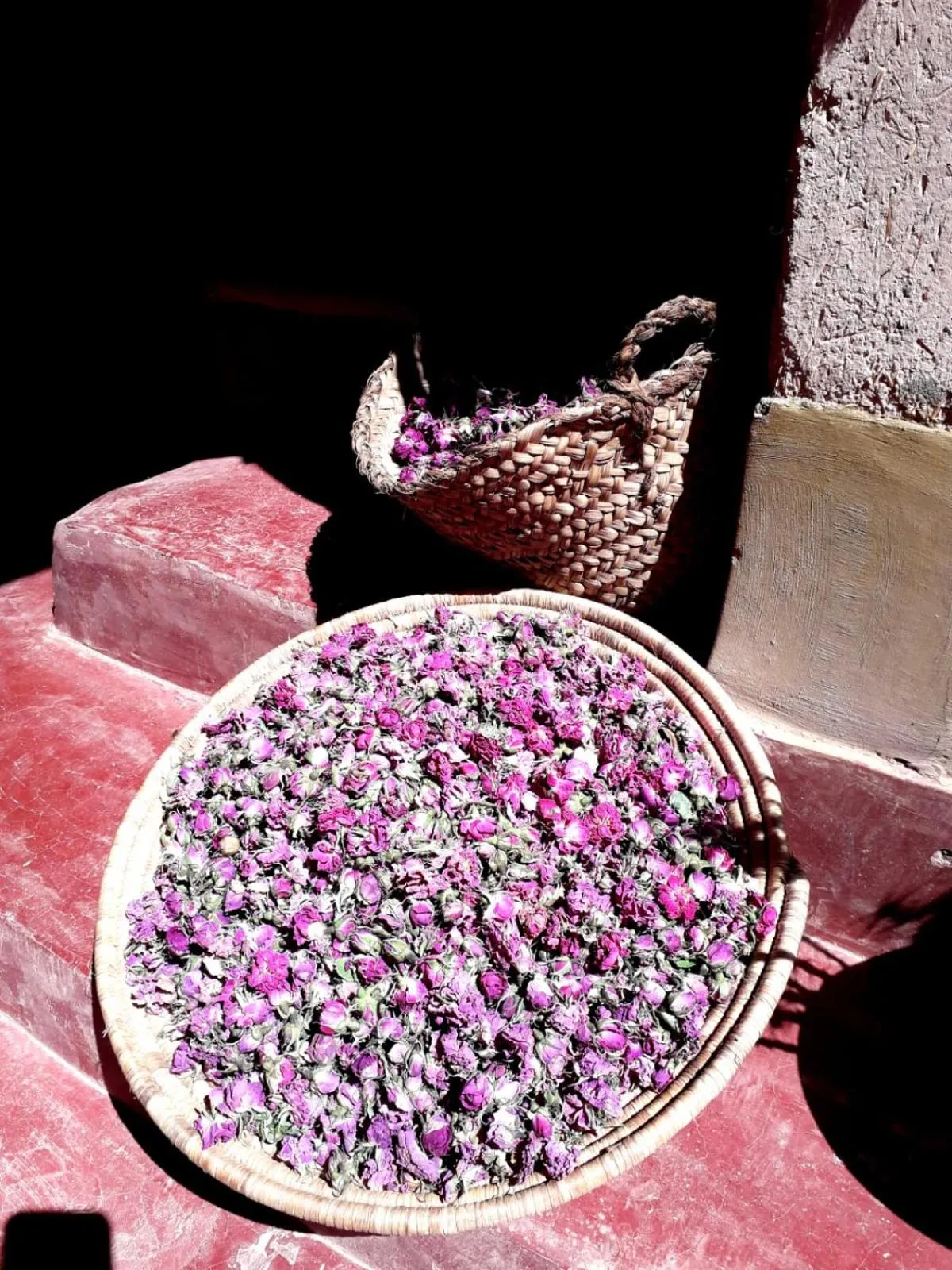 Les Jardins du M'goun