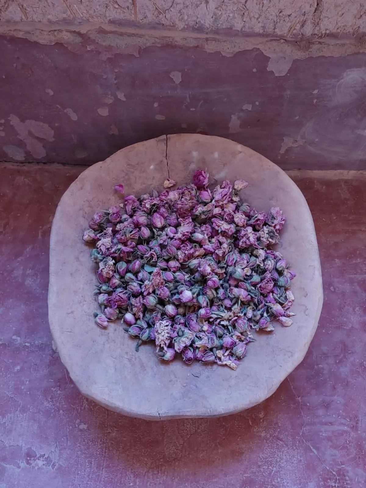 Les Jardins du M'goun