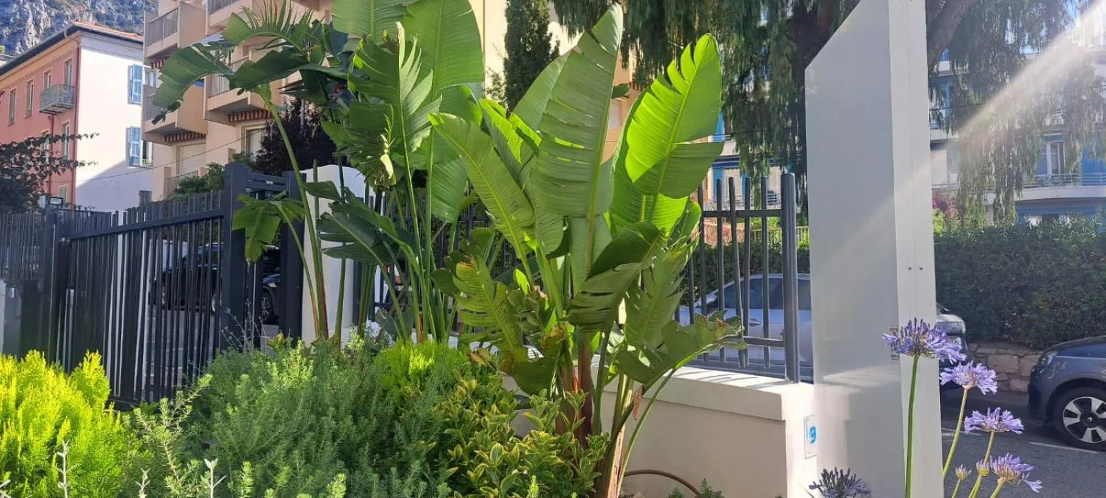 Parking in Résidence Carlton - Rénovée avec Piscine