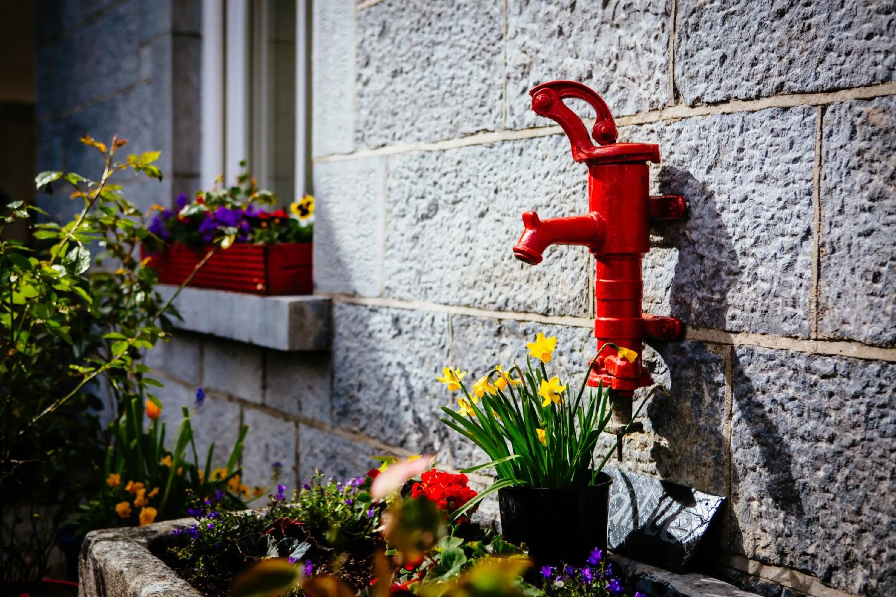 Property building in Gleeson's Restaurant & Rooms