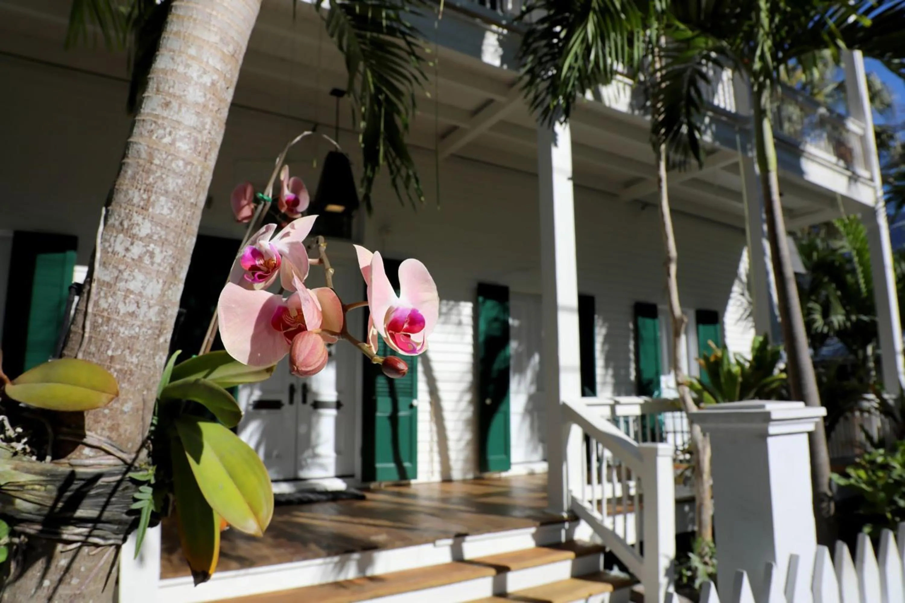 Facade/entrance in Ridley House - Key West Historic Inns