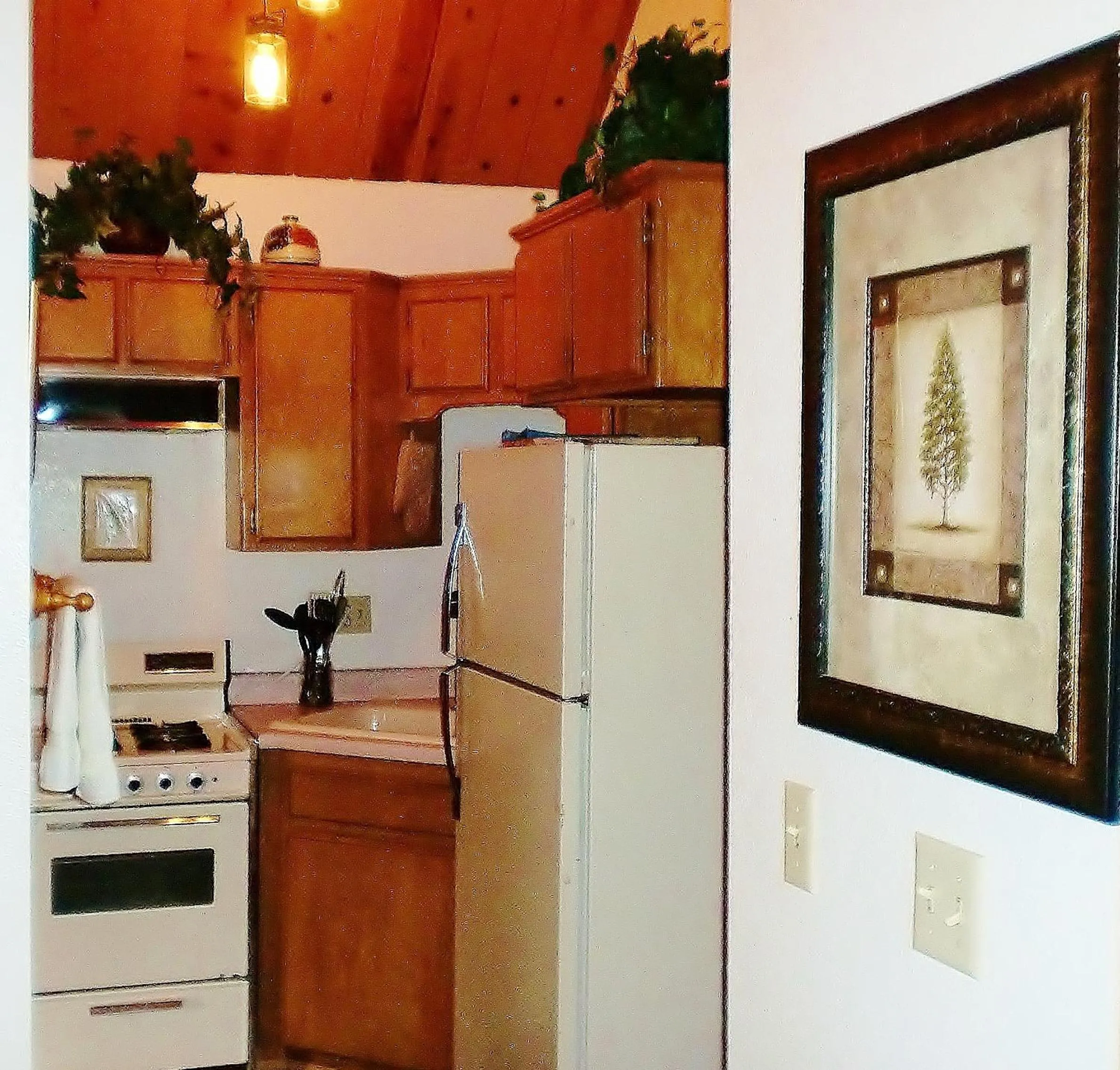 Kitchen or kitchenette in The North Shore Inn