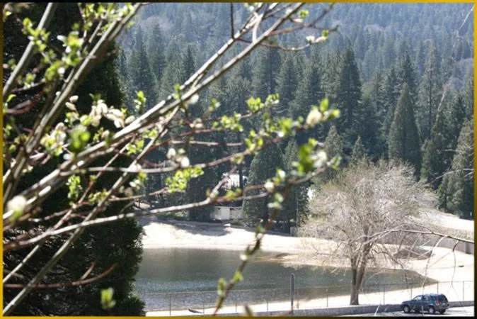 Natural landscape in The North Shore Inn