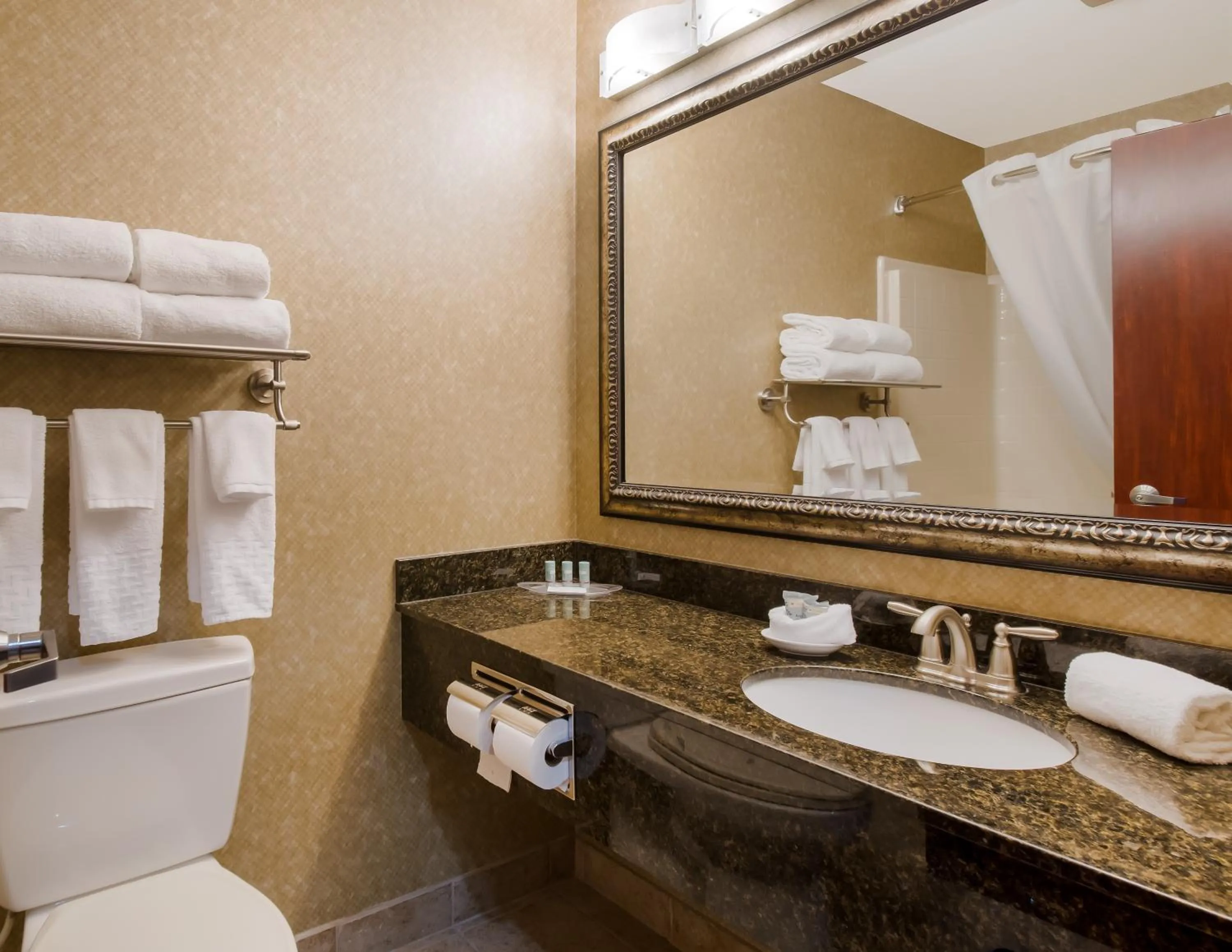 Bathroom in Best Western University Inn and Suites