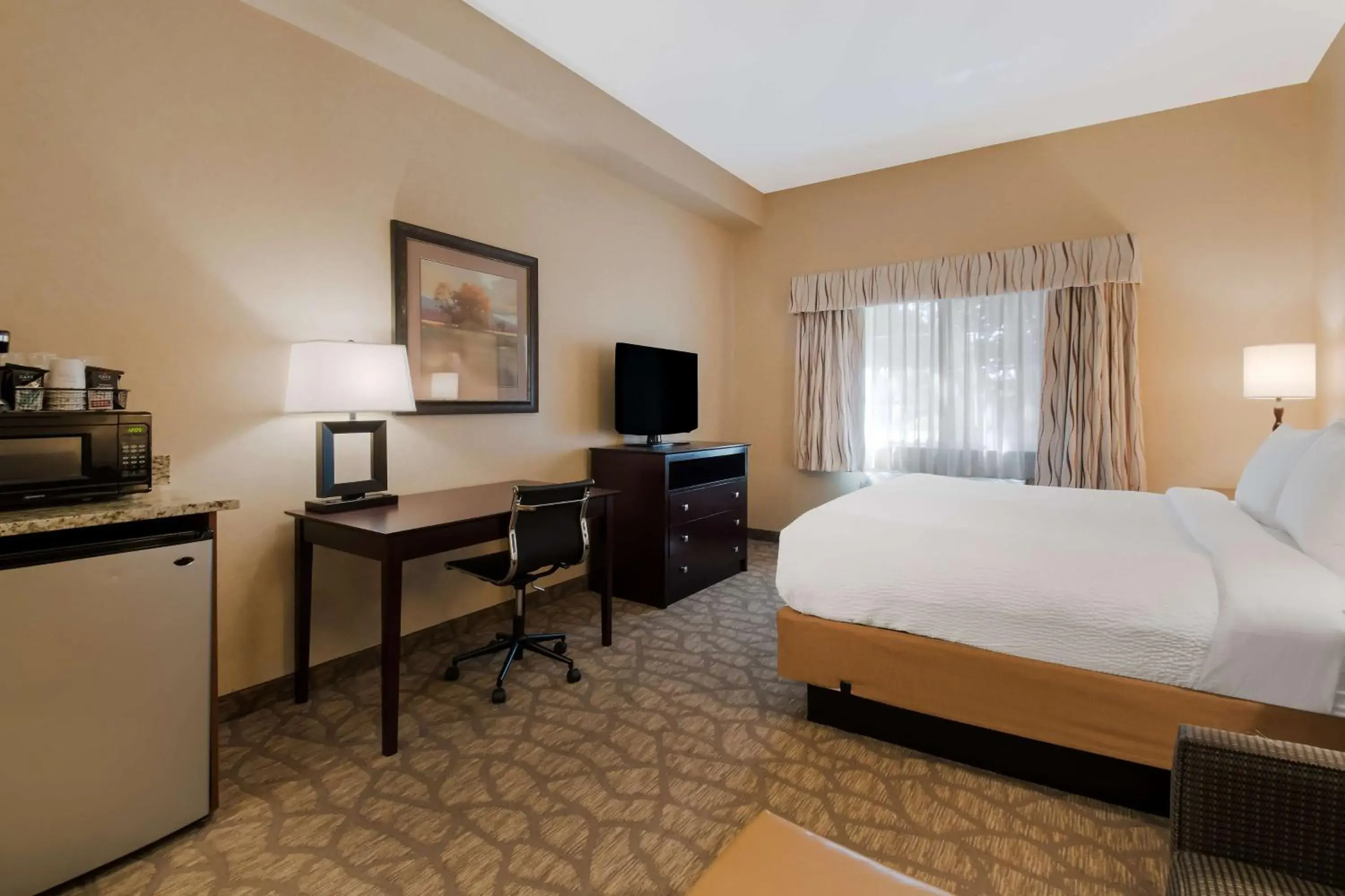 Bedroom, Bed in Best Western University Inn and Suites Bedroom, Bed in Best Western University Inn and Suites