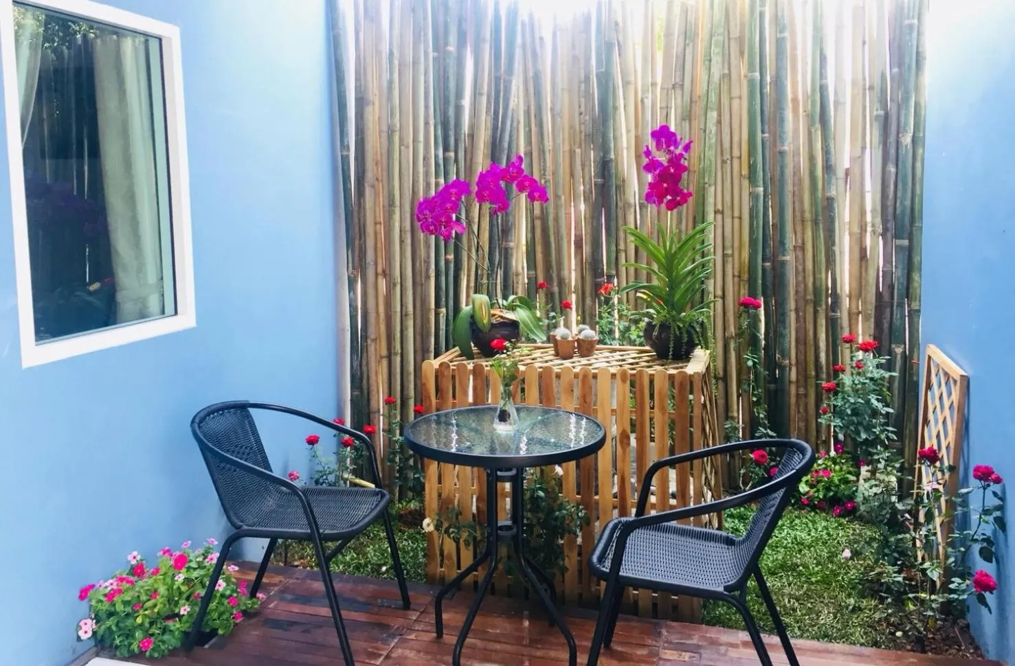 Natural landscape in DE ROSE Hotel Chiang Mai