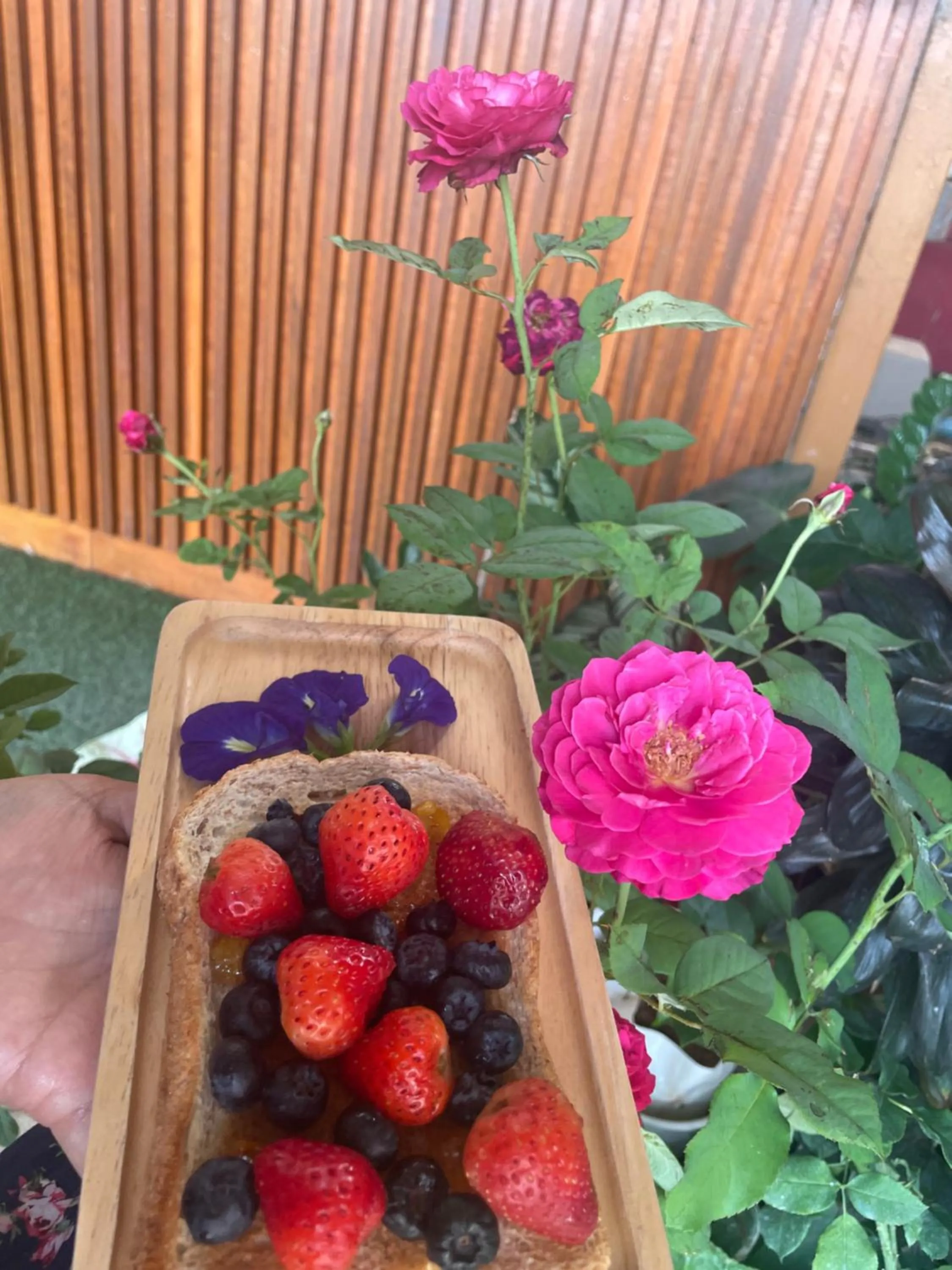 DE ROSE Hotel Chiang Mai