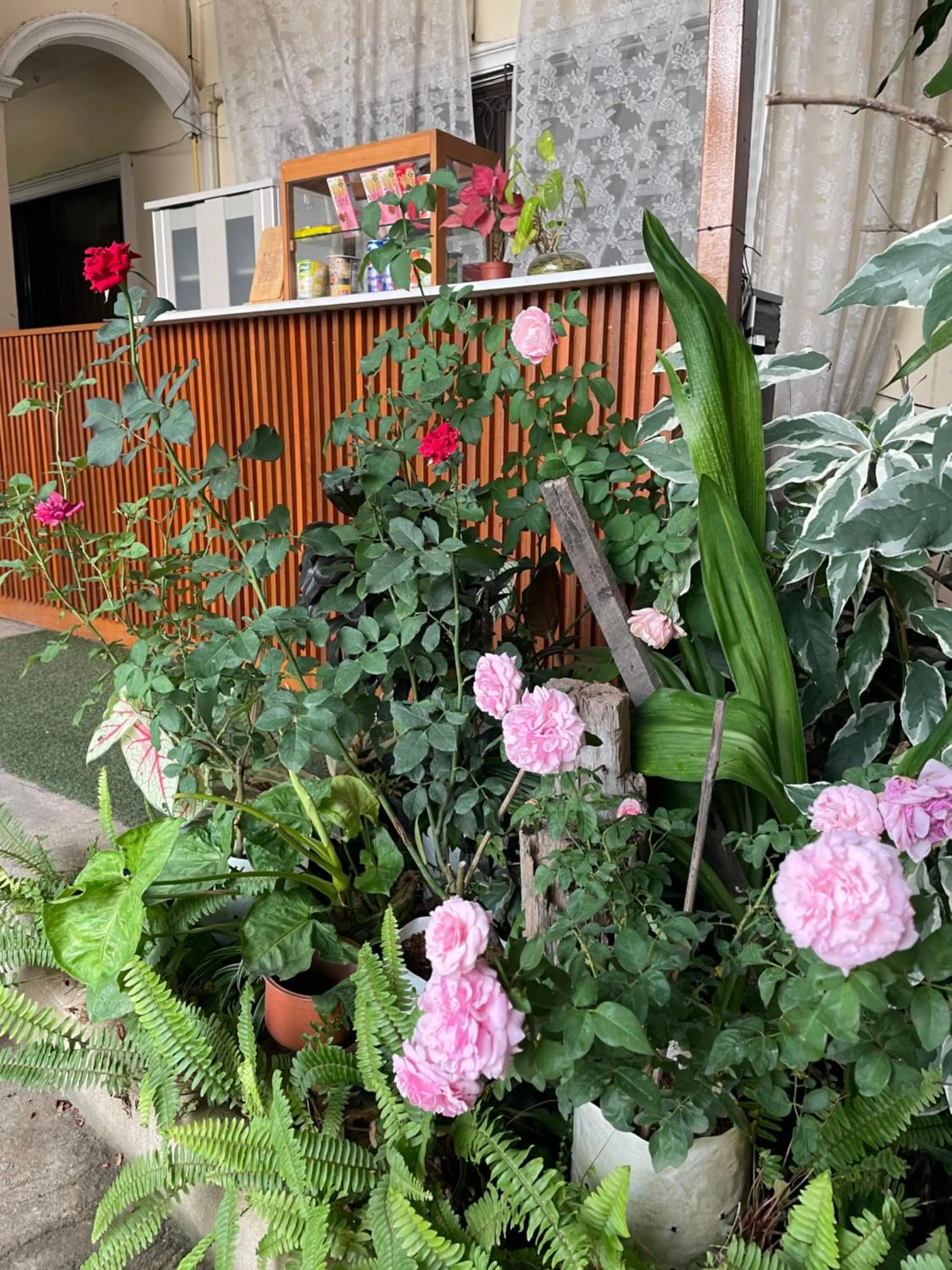 DE ROSE Hotel Chiang Mai