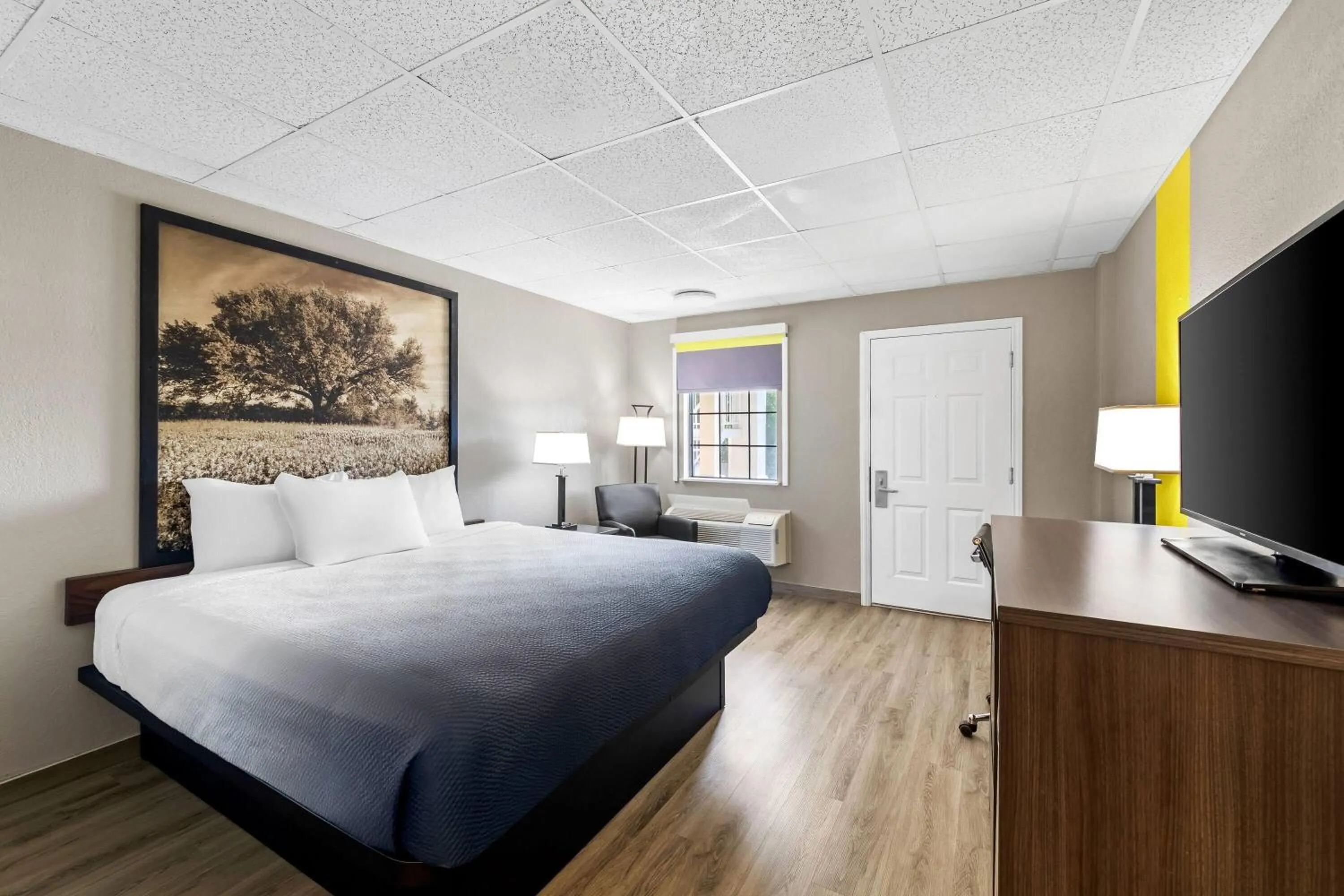 Bed in Super 8 by Wyndham Fredericksburg