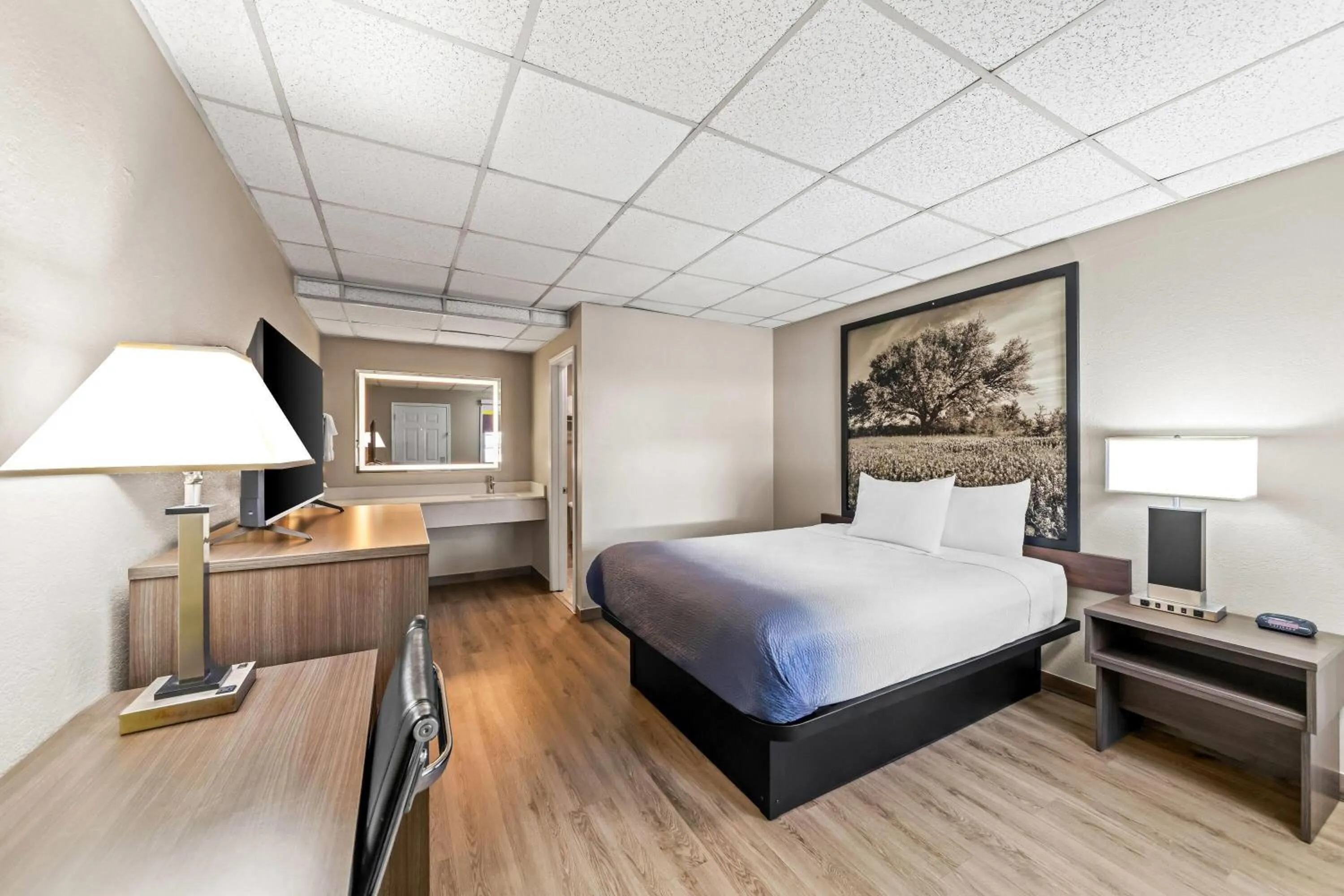 Bed in Super 8 by Wyndham Fredericksburg