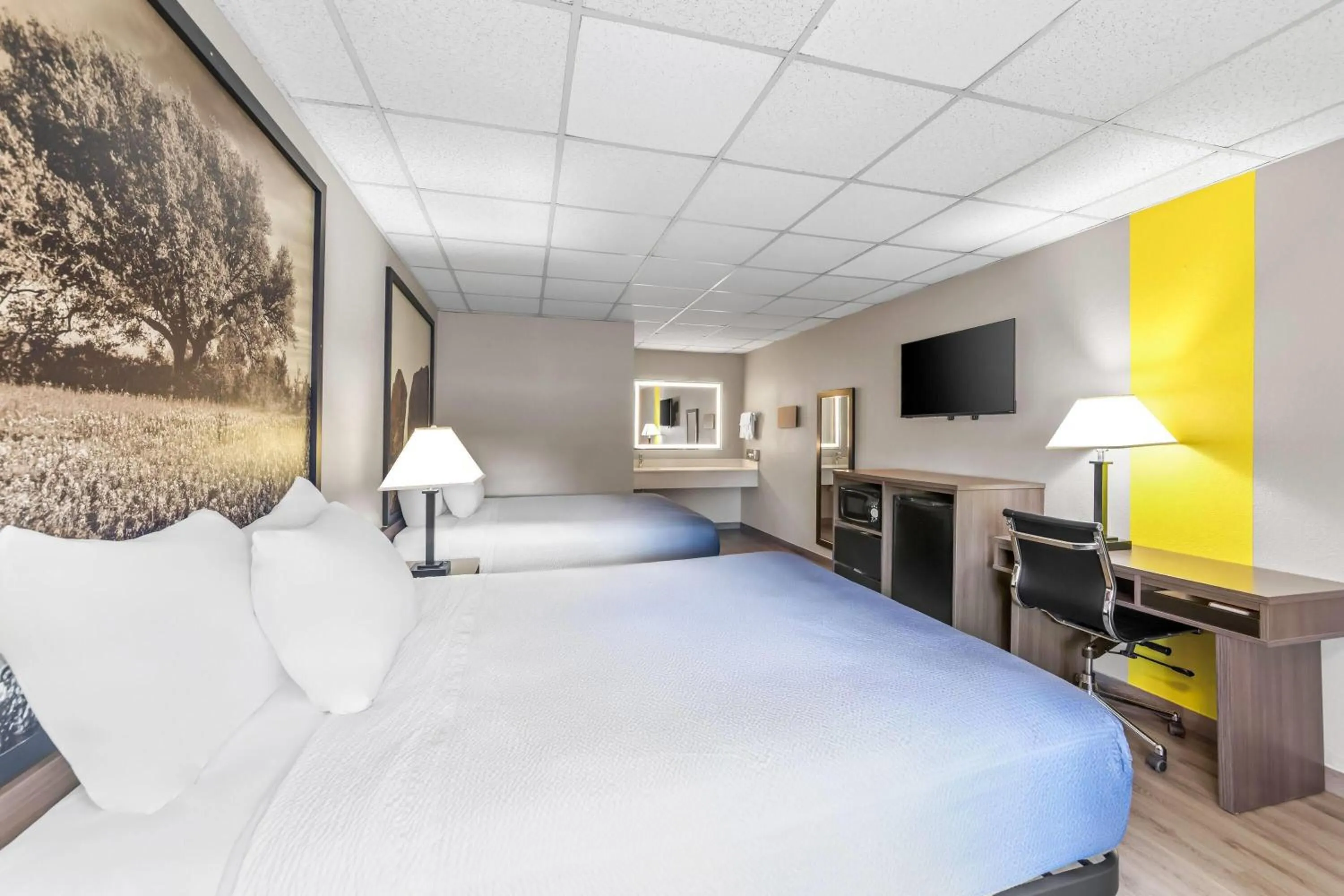 Bed in Super 8 by Wyndham Fredericksburg