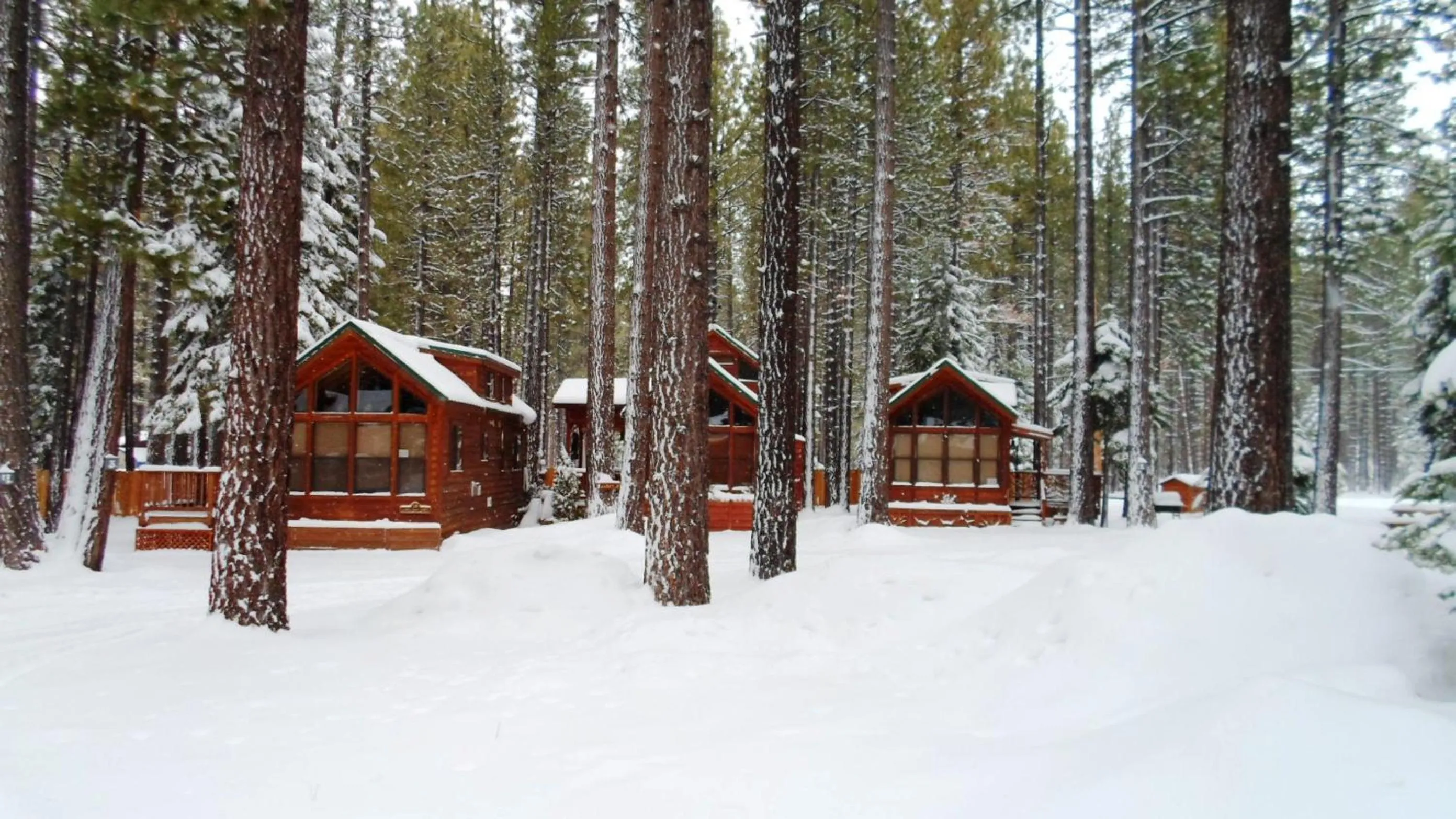 Facade/entrance in Cedar Pines Resort