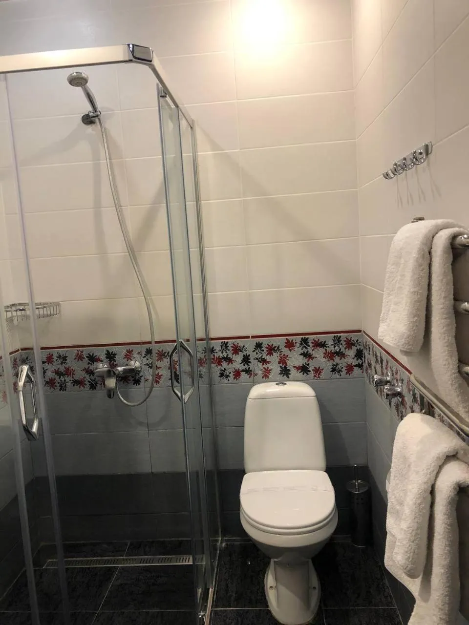 Shower in Knyazhyi Dvir