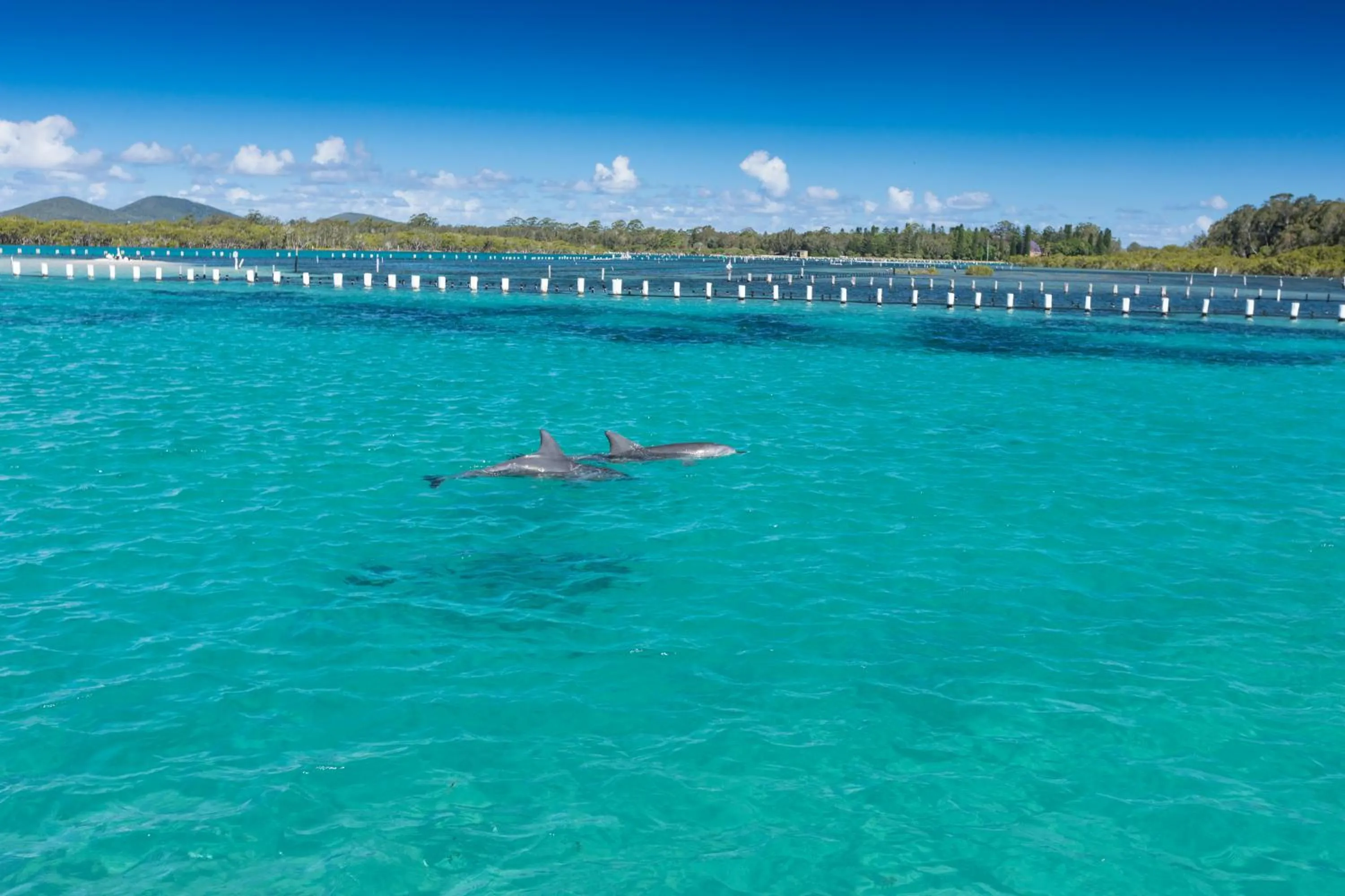 Spring in Hotel Forster