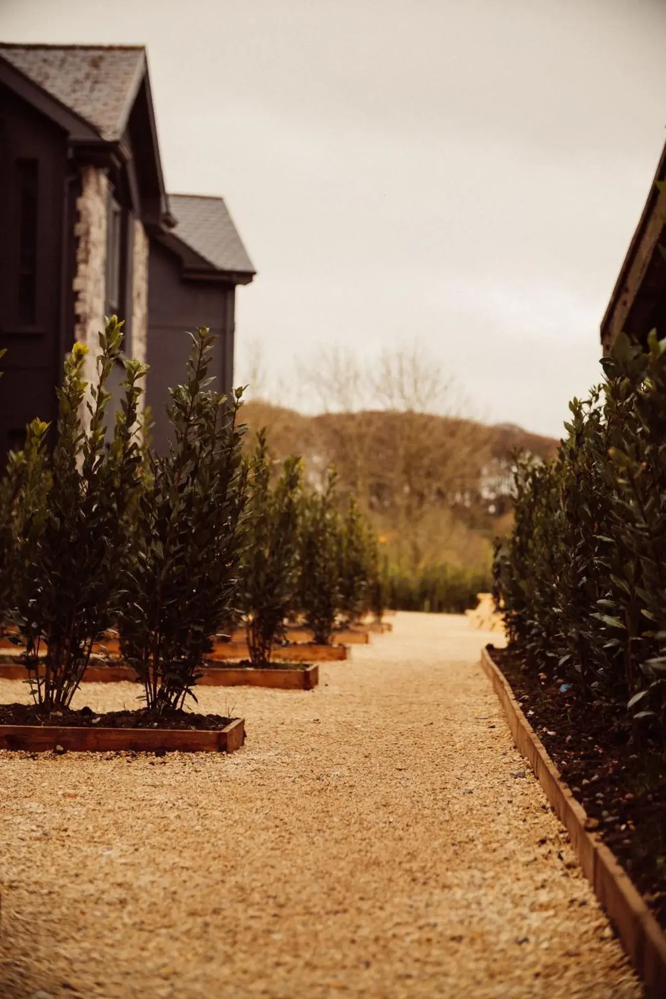 Property building in Glasson Lakehouse Property building in Glasson Lakehouse