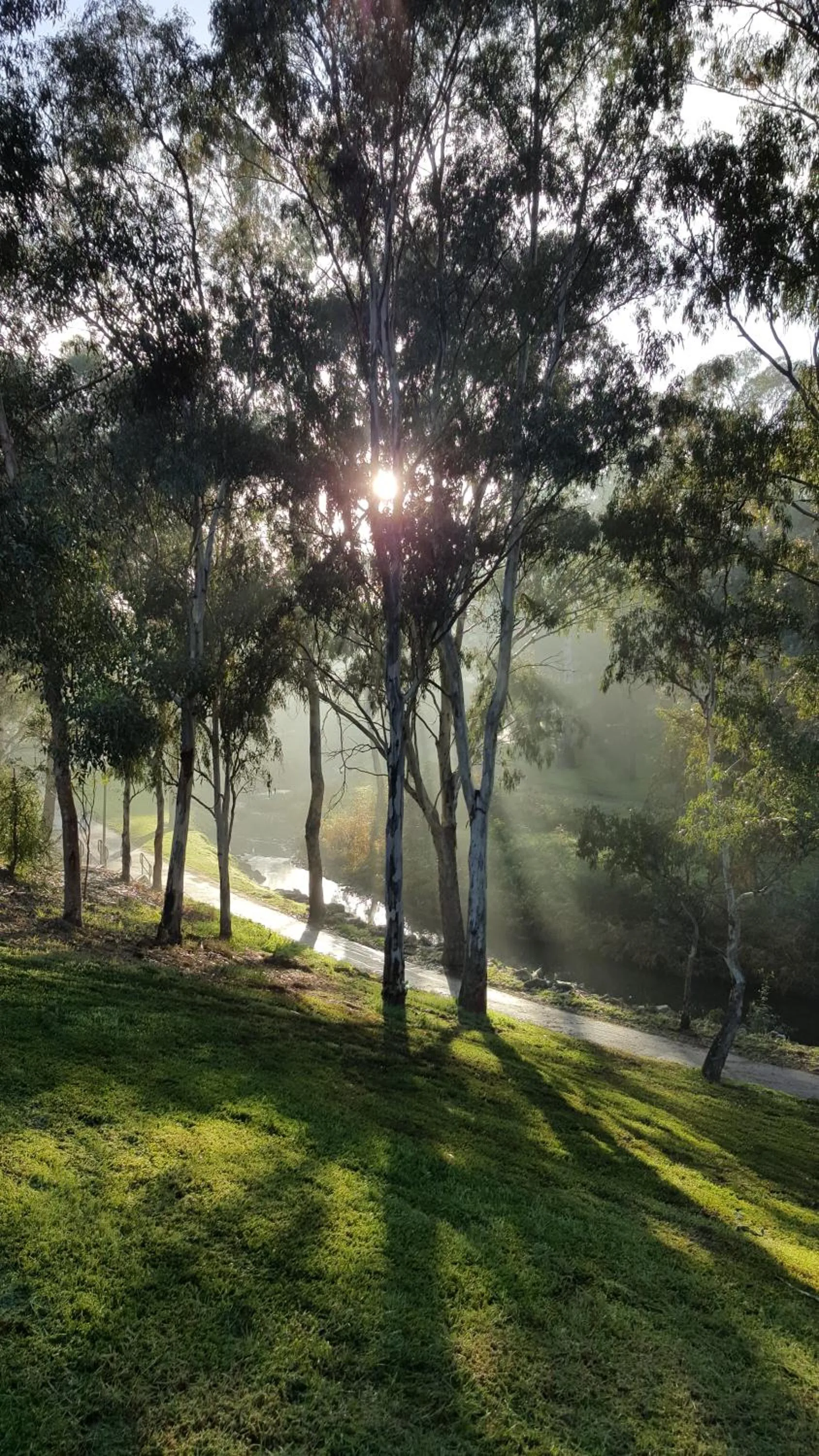 Activities in Levi Adelaide Holiday Park