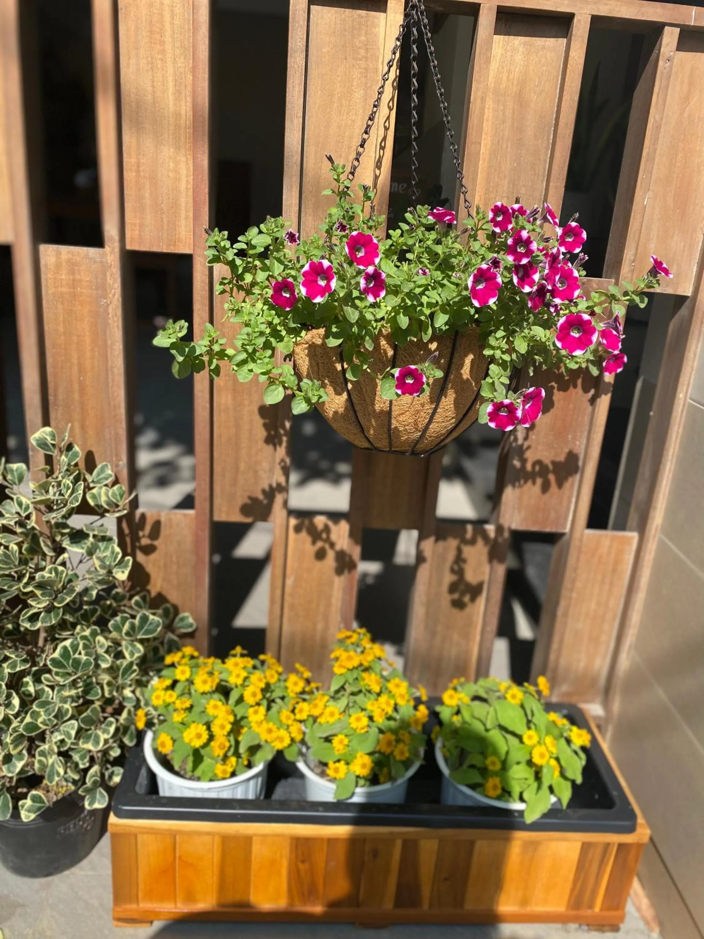 Hue Sweethouse 2 Homestay