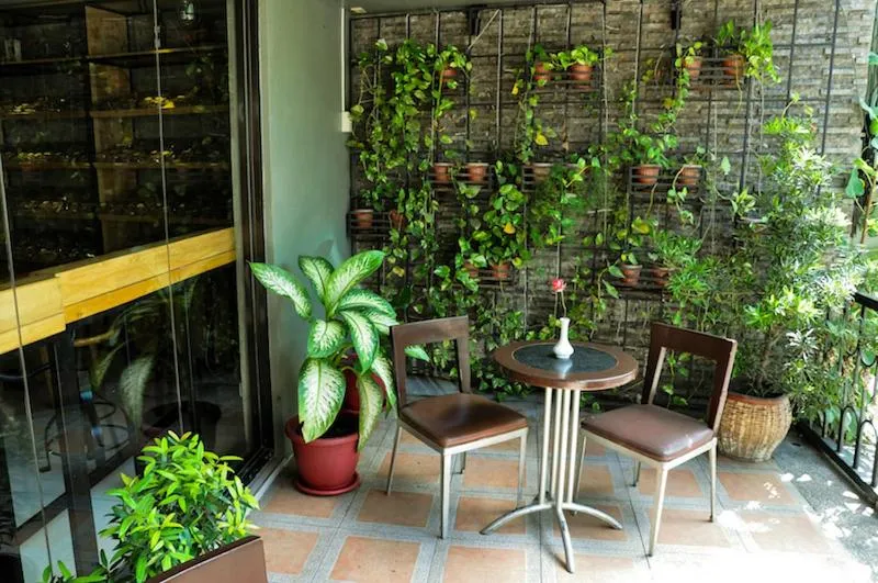 Area and facilities in Golden Valley Hotel